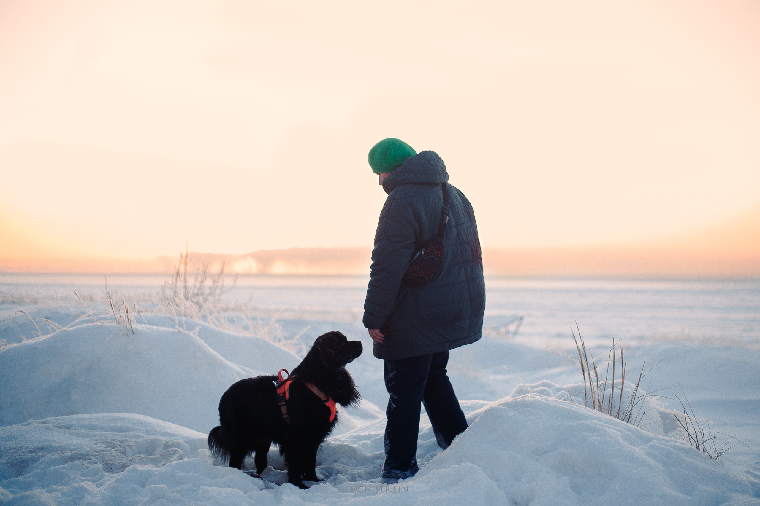 Модя. Закат на Финском заливе. Фотограф-анималист Наталия Чистюхина в г. Сосновый Бор и ЛО