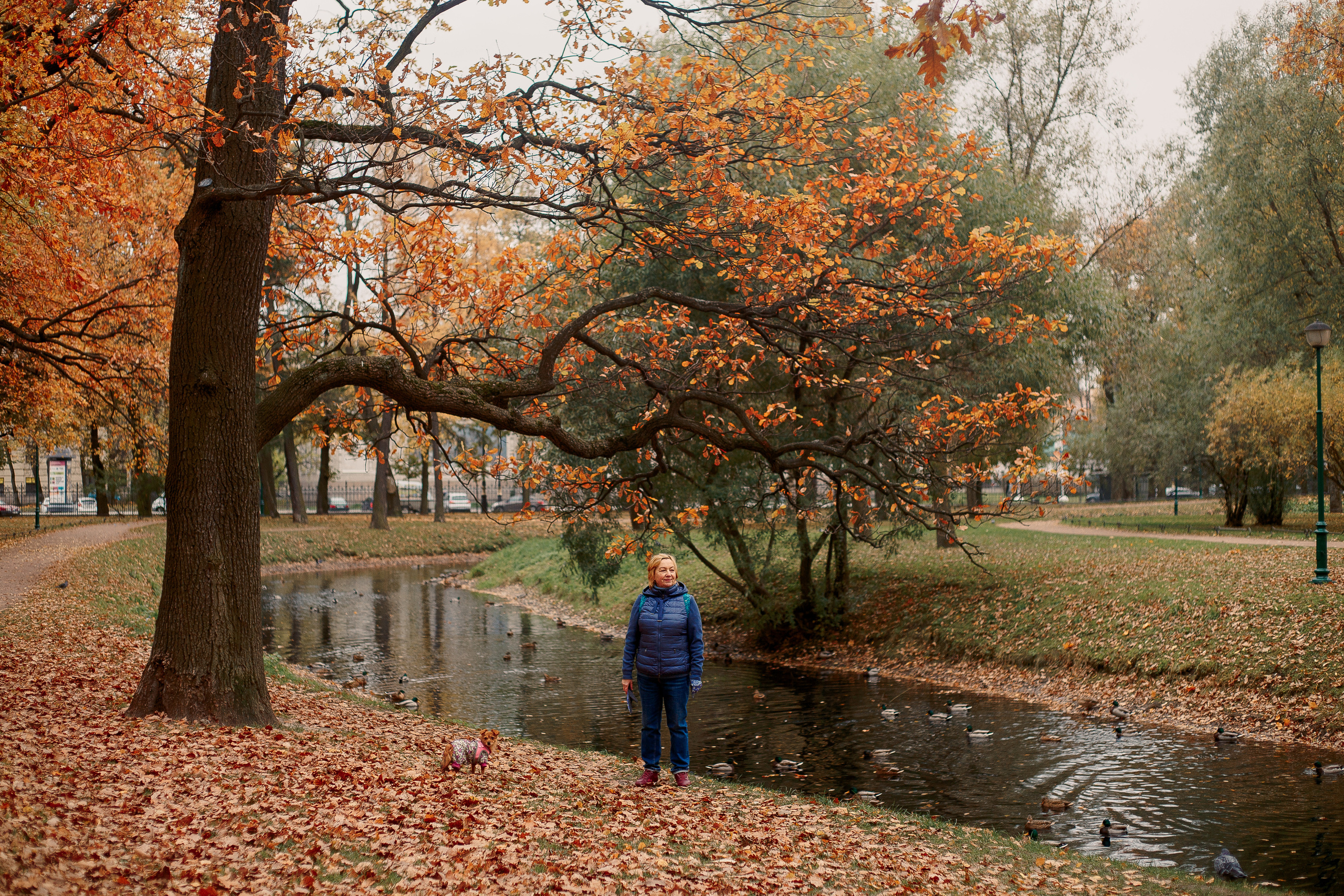 Таврический сад осенью. Фотограф-анималист Наталия Чистюхина в г. Сосновый Бор и ЛО