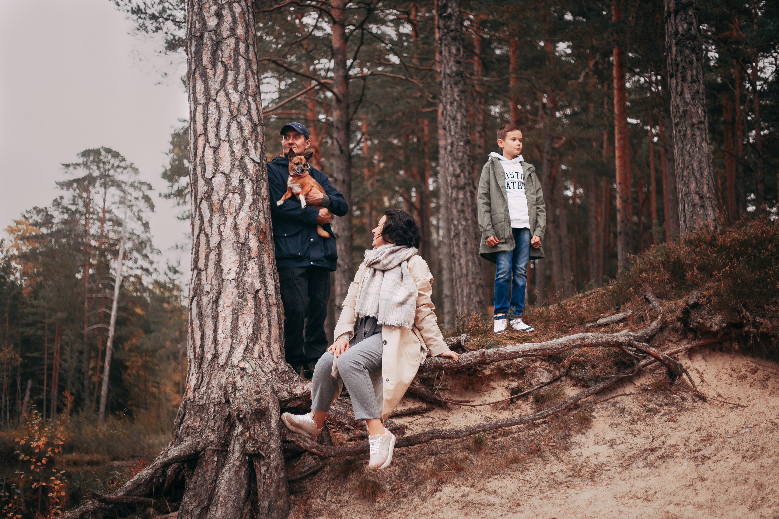 Осенний лес в Сосновом Бору. Фотограф-анималист Наталия Чистюхина в г. Сосновый Бор и ЛО