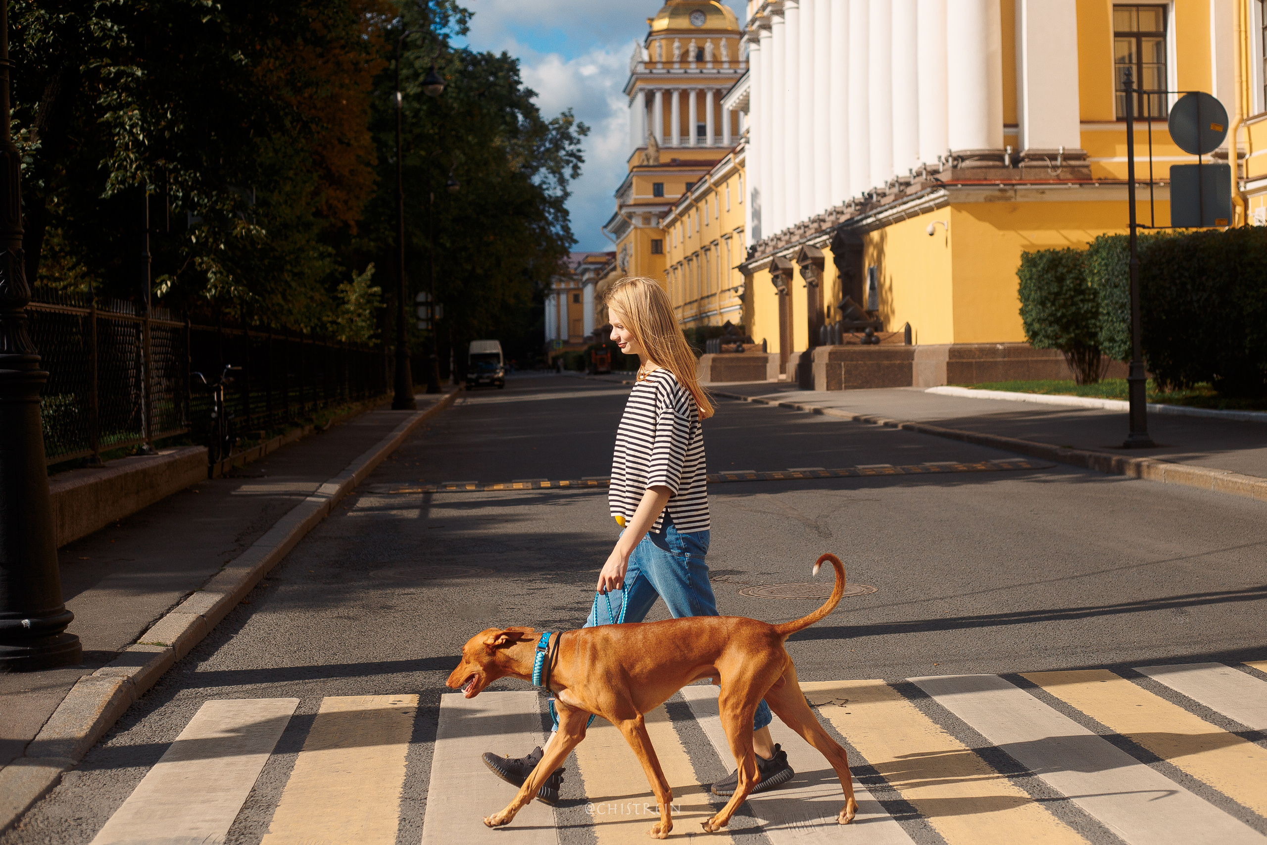 Арина и Гриффин в центре Питера. Фотограф-анималист Наталия Чистюхина в г. Сосновый Бор и ЛО