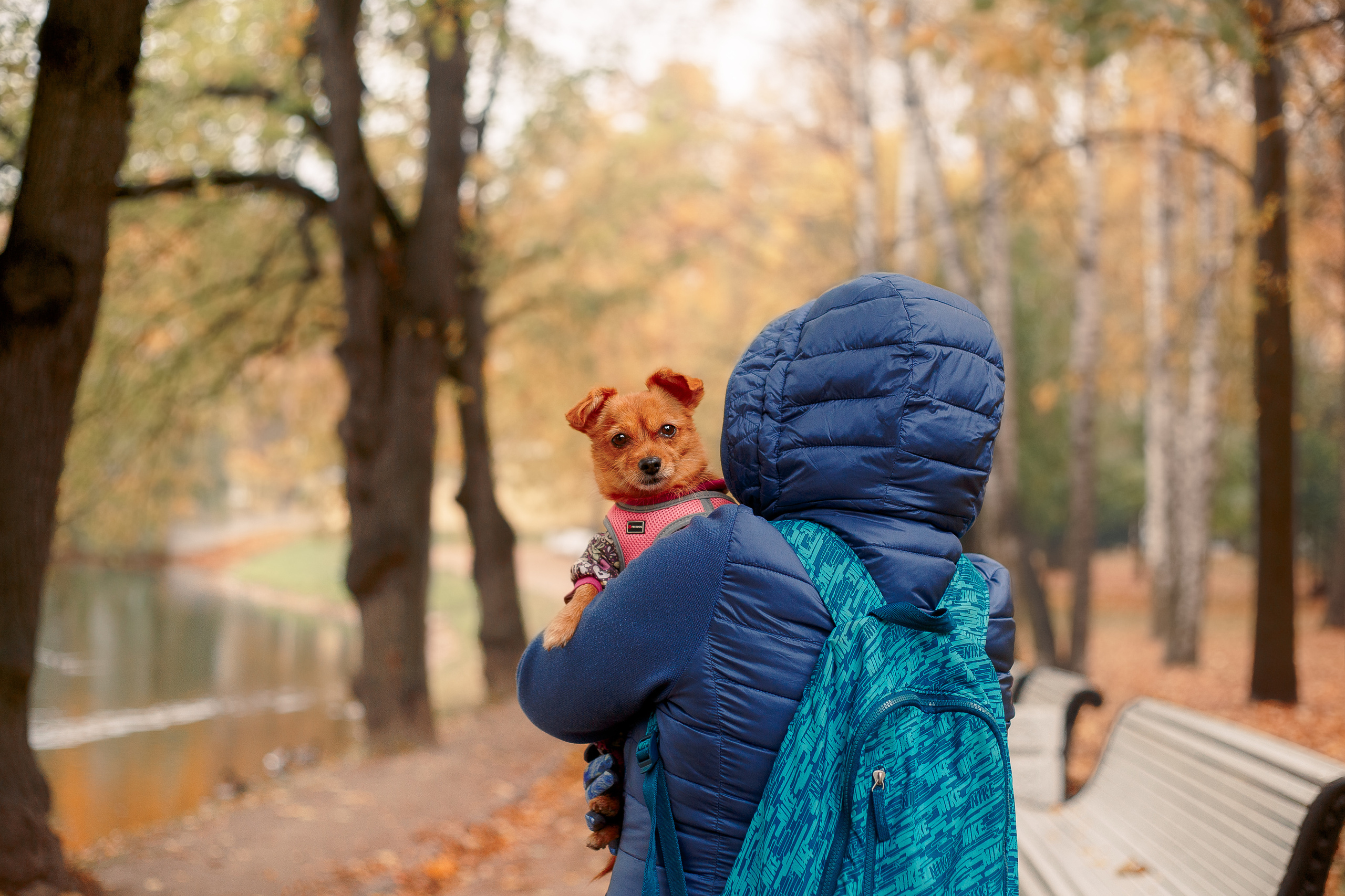 Таврический сад осенью. Фотограф-анималист Наталия Чистюхина в г. Сосновый Бор и ЛО
