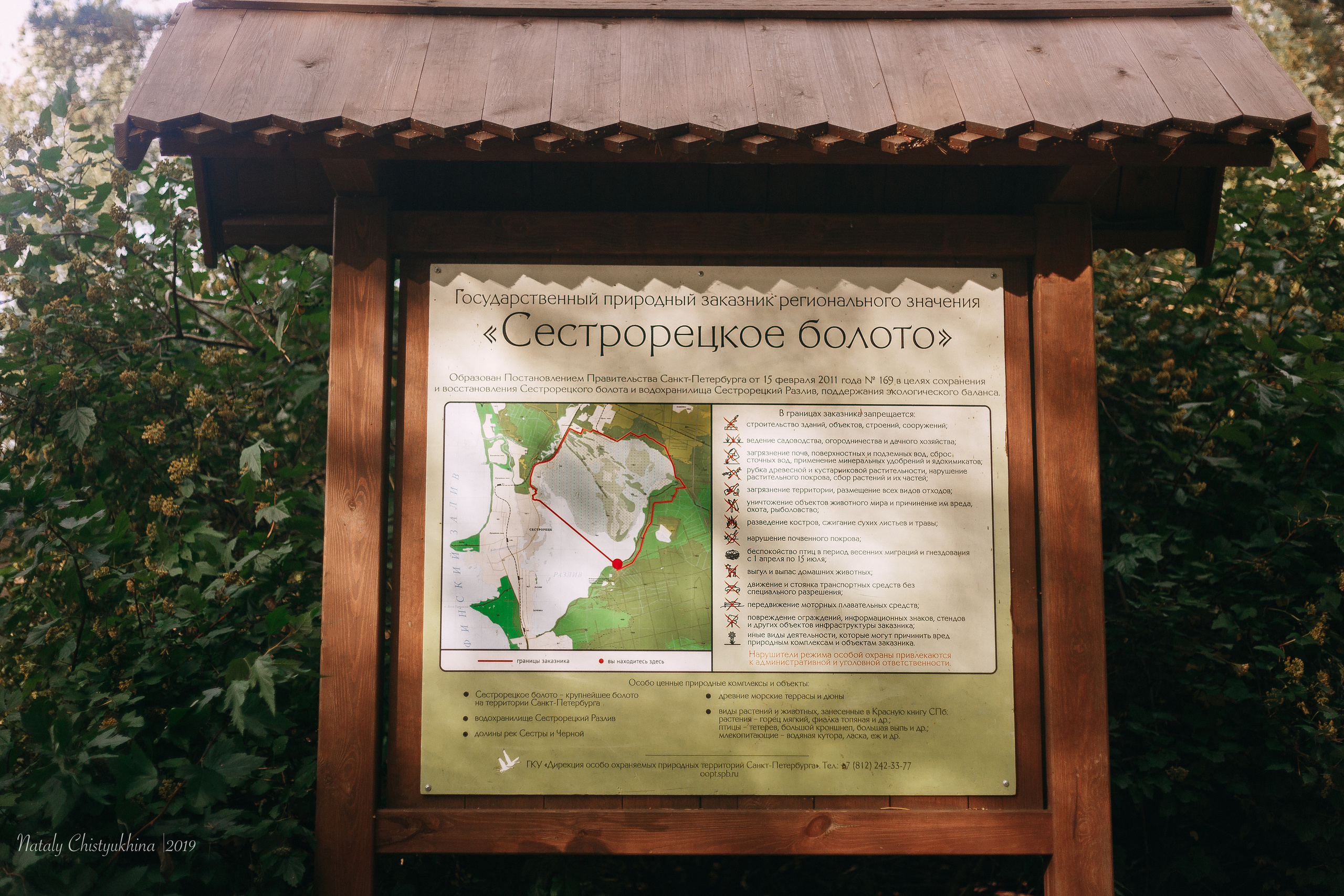 Эко-тропа Сестрорецкое болото. Фотограф-анималист Наталия Чистюхина в г. Сосновый Бор и ЛО