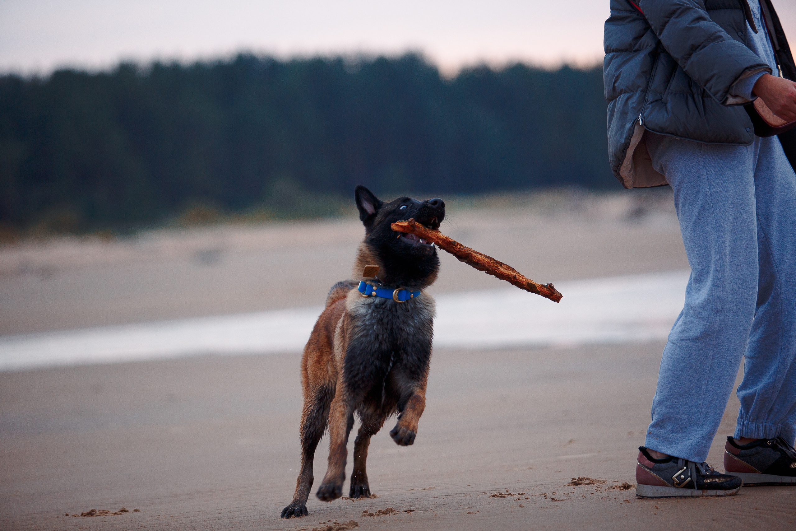 Закат на Финском заливе. Фотограф-анималист Наталия Чистюхина в г. Сосновый Бор и ЛО
