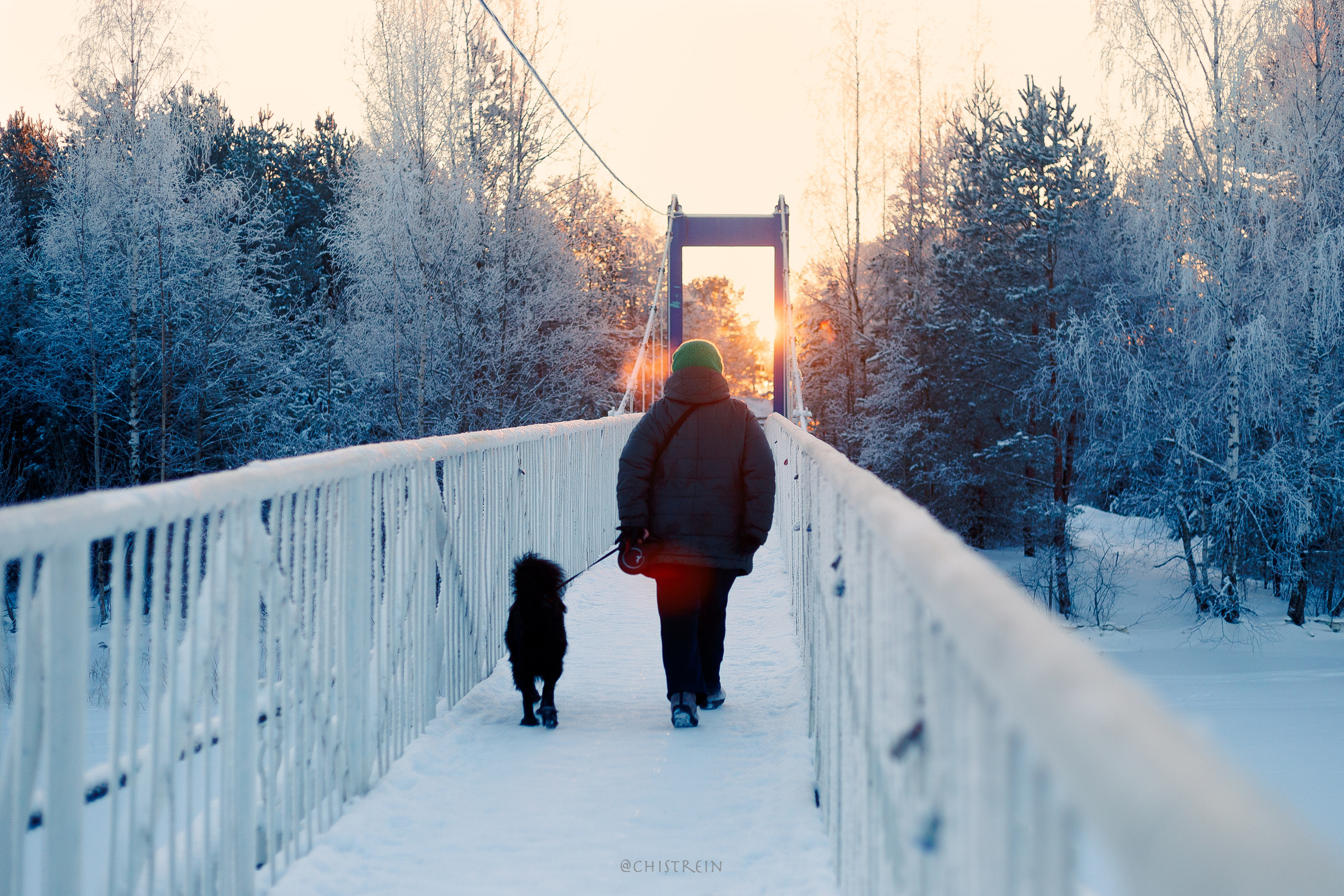 Модя. Закат на Финском заливе. Фотограф-анималист Наталия Чистюхина в г. Сосновый Бор и ЛО