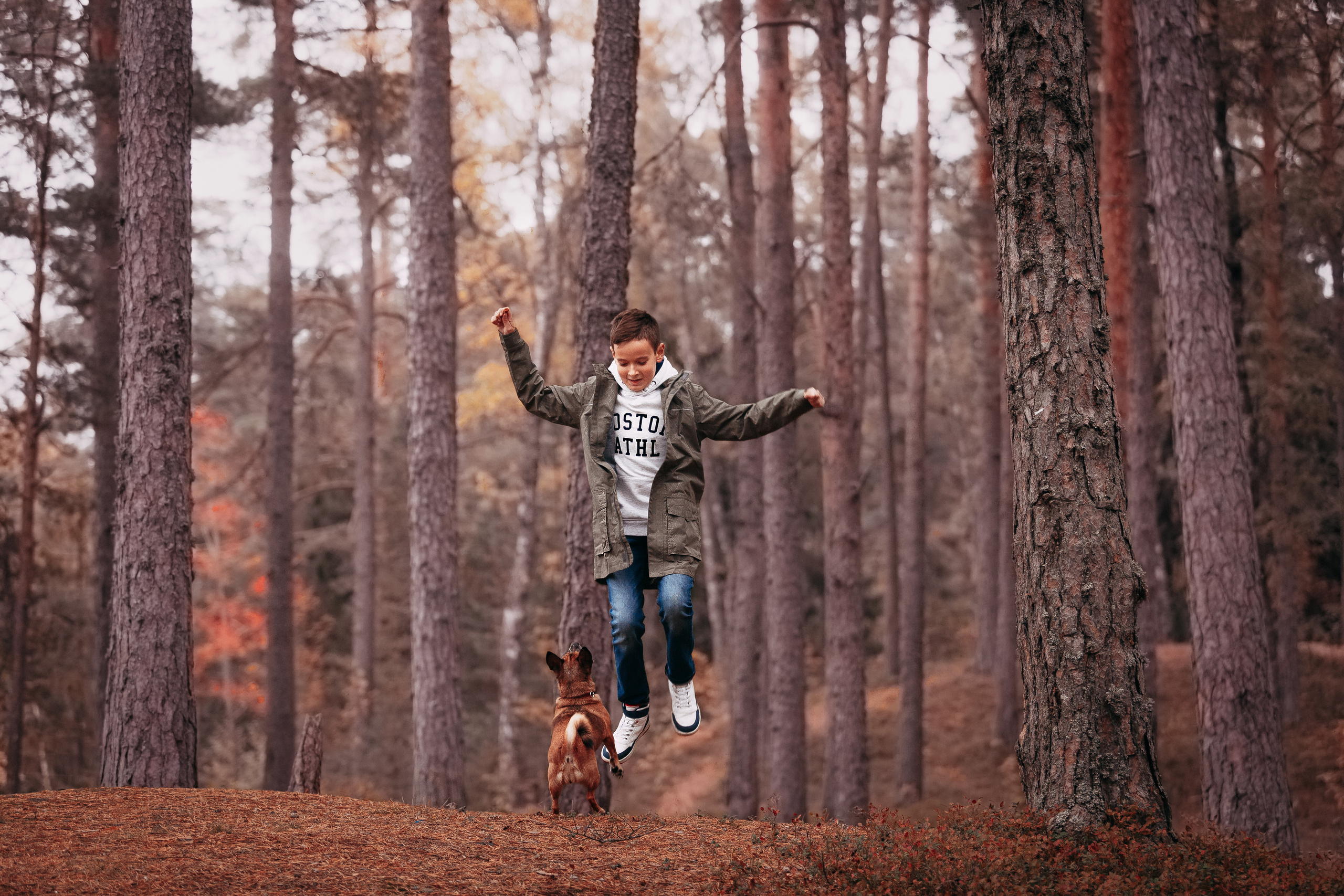 Осенний лес в Сосновом Бору. Фотограф-анималист Наталия Чистюхина в г. Сосновый Бор и ЛО