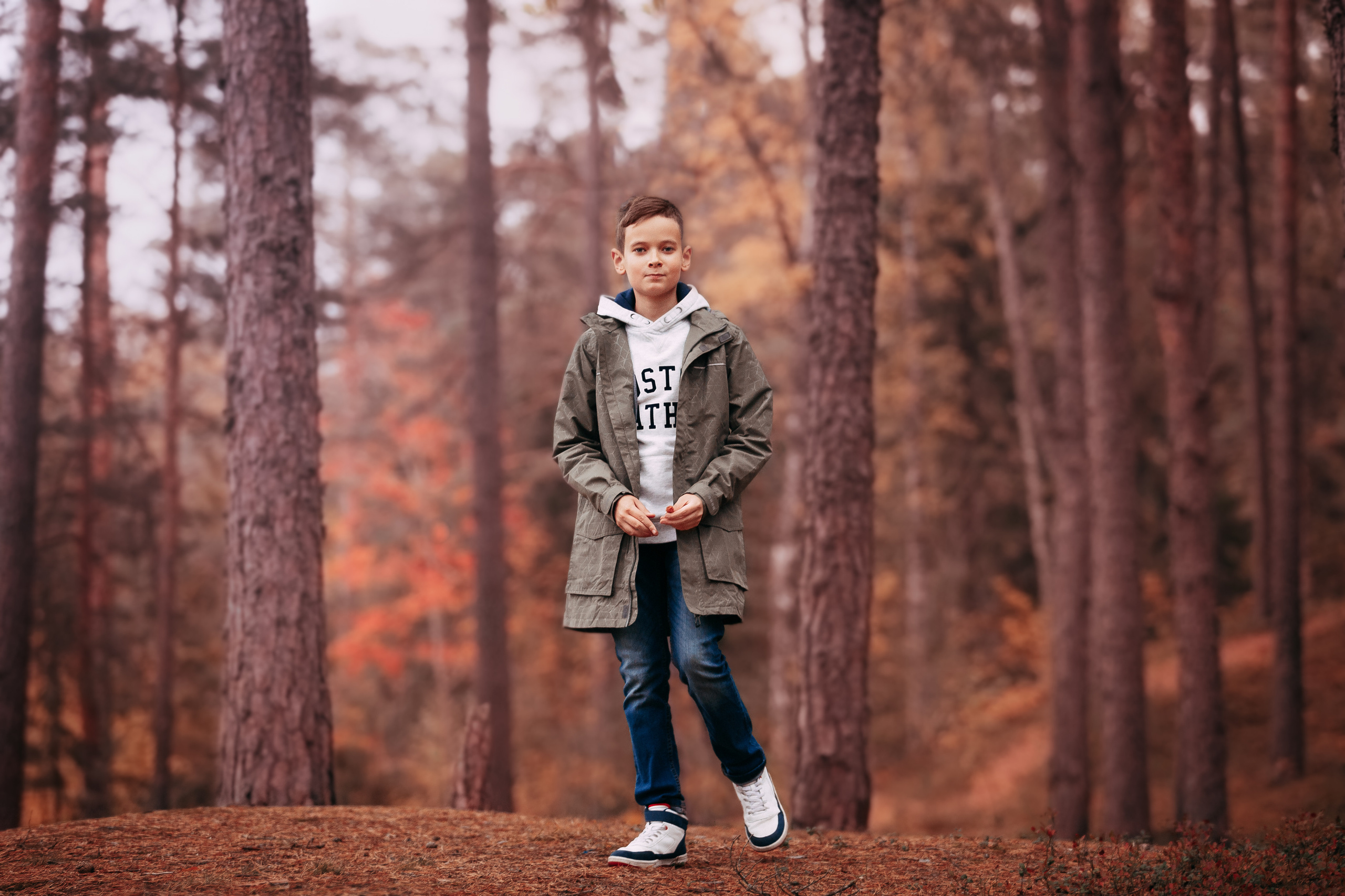 Осенний лес в Сосновом Бору. Фотограф-анималист Наталия Чистюхина в г. Сосновый Бор и ЛО