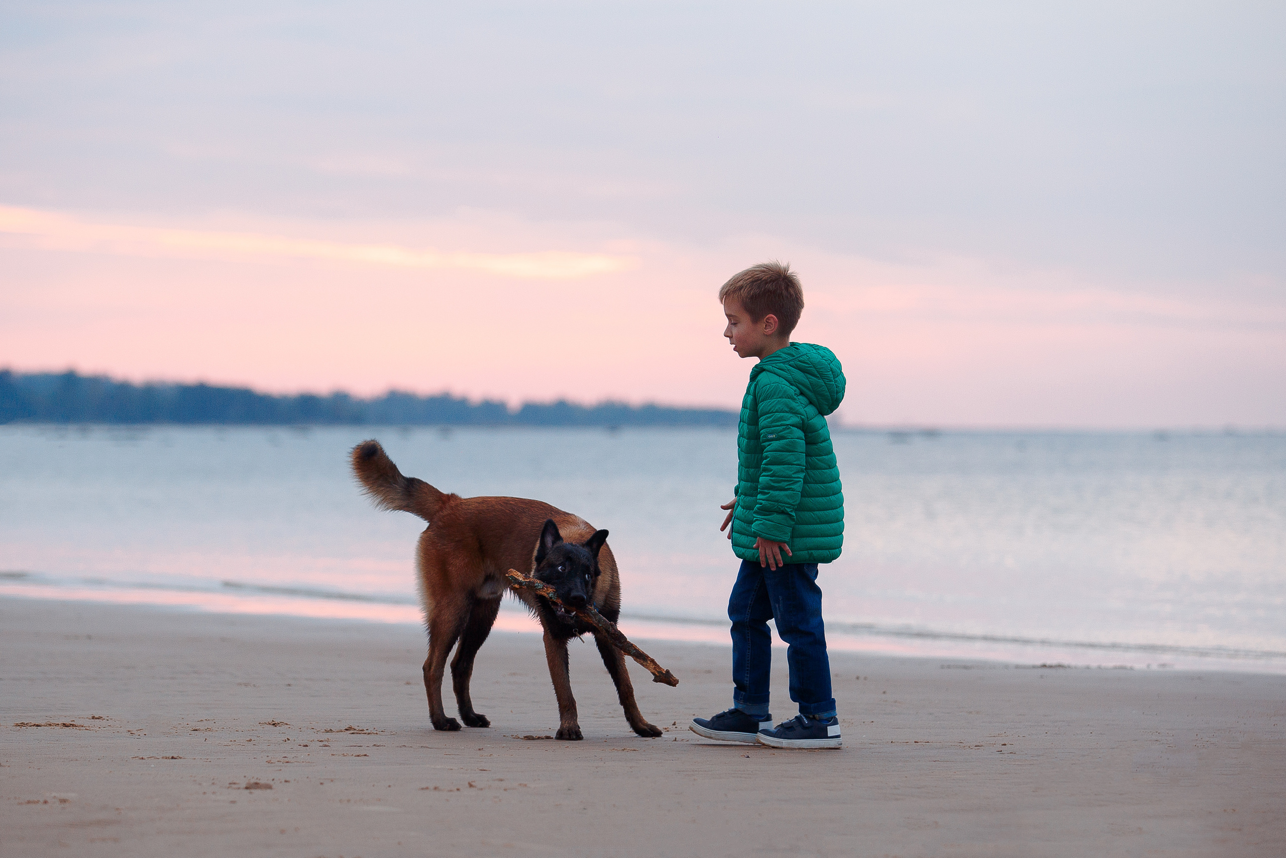 Закат на Финском заливе. Фотограф-анималист Наталия Чистюхина в г. Сосновый Бор и ЛО