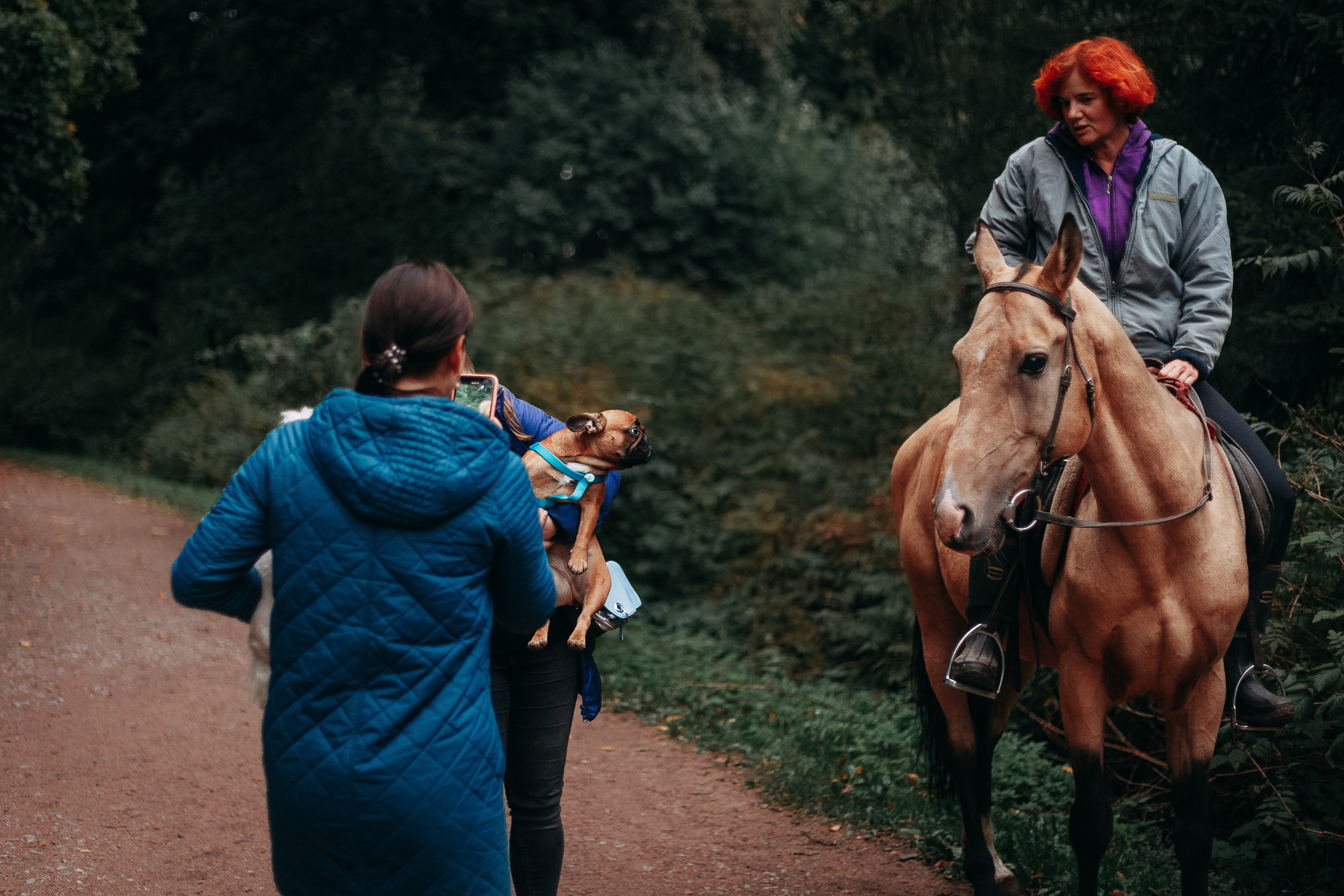Шуваловский парк. Фотограф-анималист Наталия Чистюхина в г. Сосновый Бор и ЛО