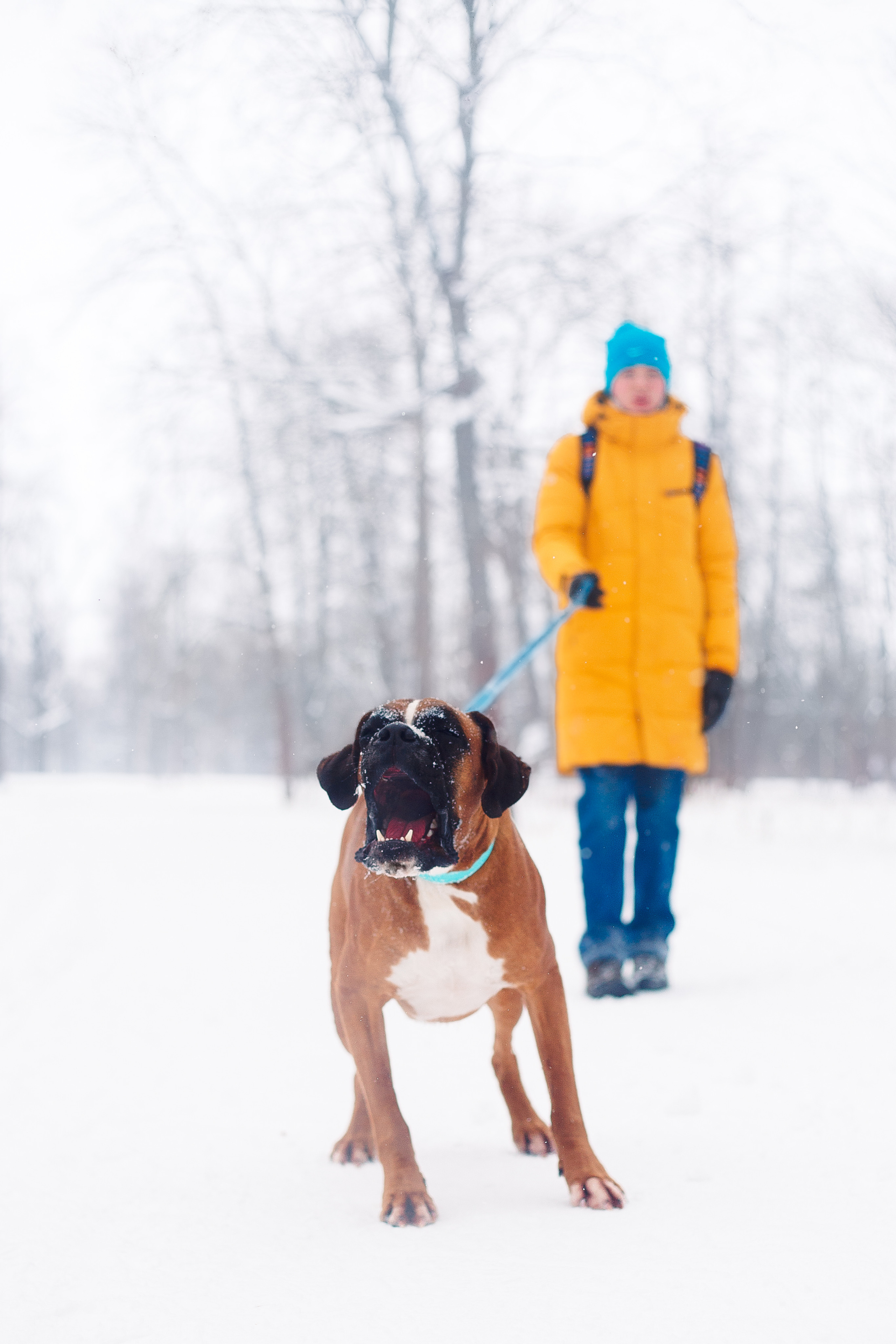 Алина, Саша и боксер Златан. Фотограф-анималист Наталия Чистюхина в г. Сосновый Бор и ЛО