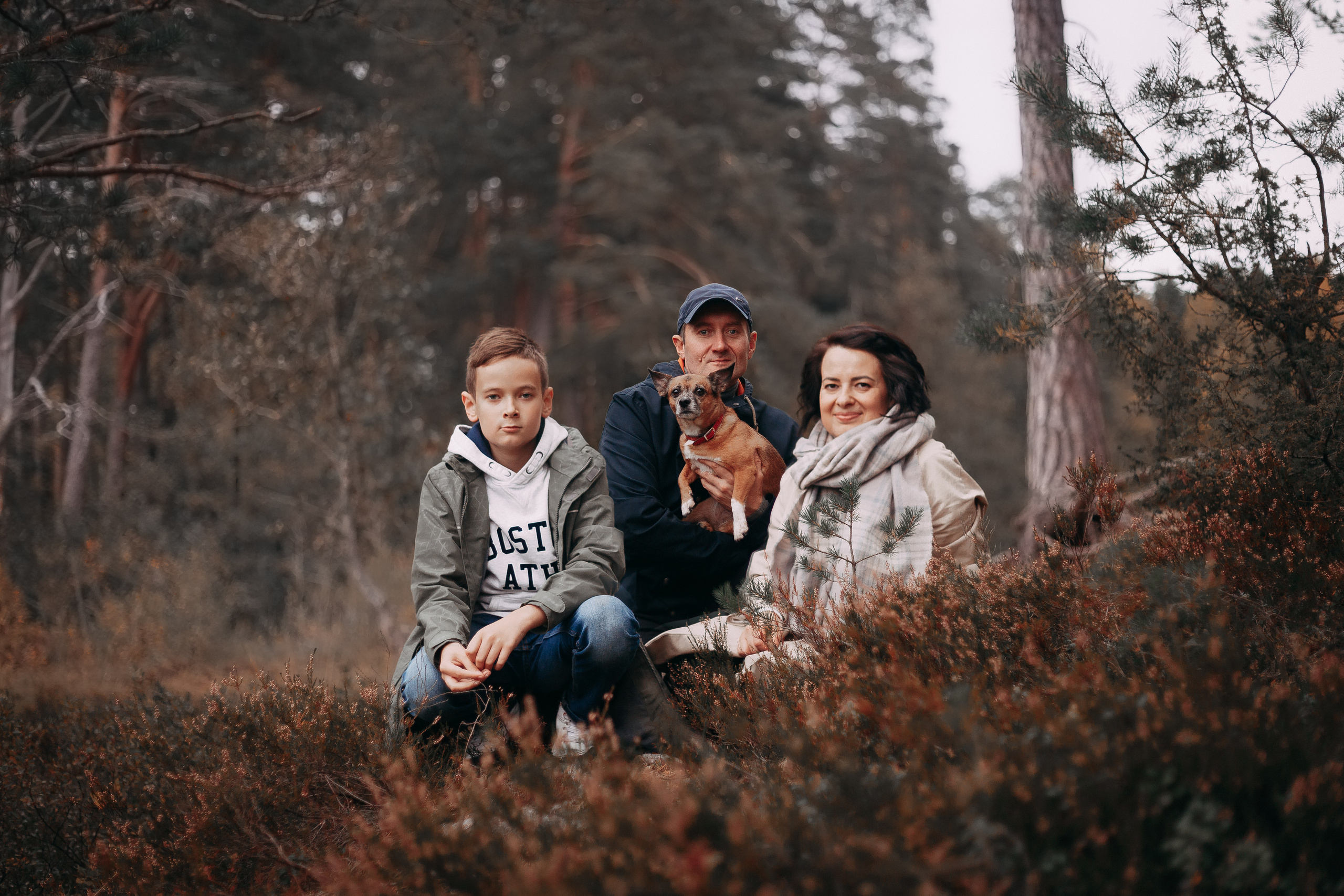 Осенний лес в Сосновом Бору. Фотограф-анималист Наталия Чистюхина в г. Сосновый Бор и ЛО