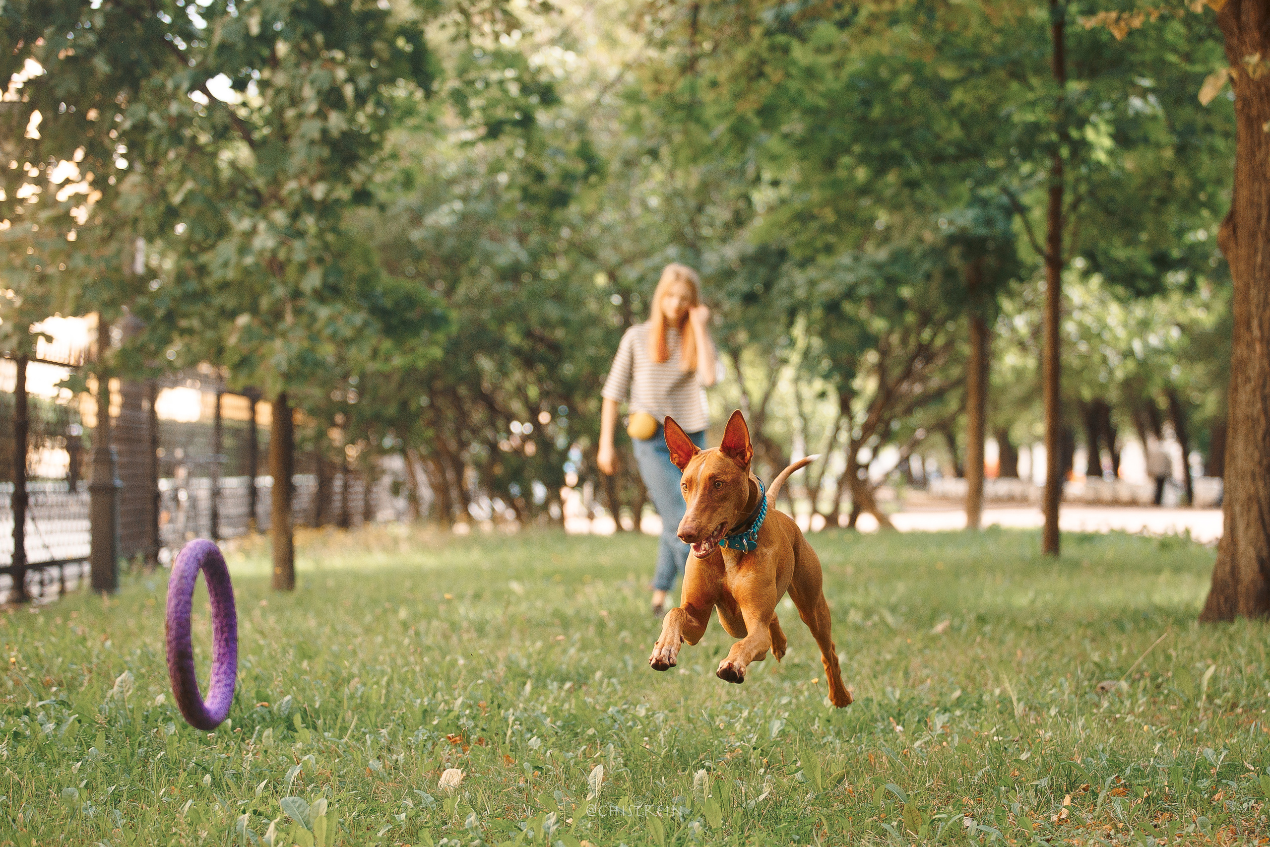 Арина и Гриффин в центре Питера. Фотограф-анималист Наталия Чистюхина в г. Сосновый Бор и ЛО