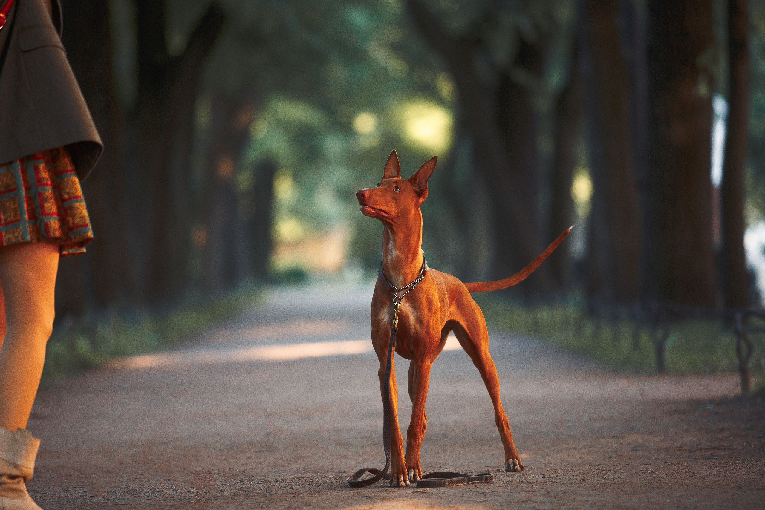 Оля и Шила в центре. Фотограф-анималист Наталия Чистюхина в г. Сосновый Бор и ЛО