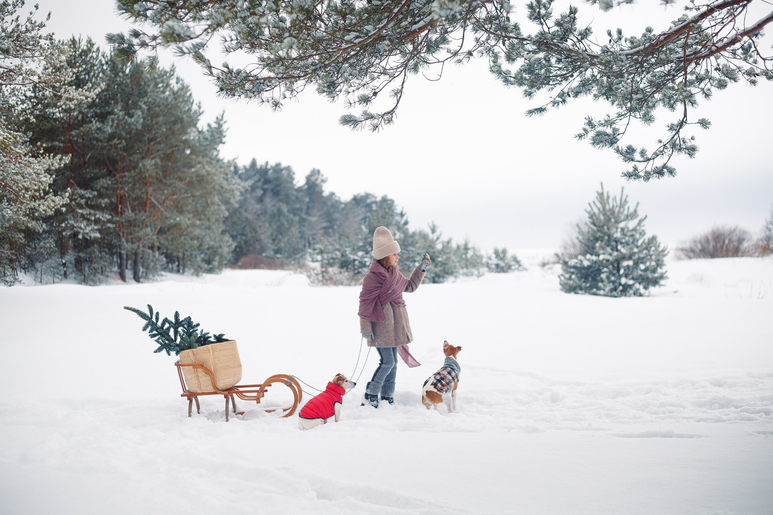 Дана, Варя, Анфиса и Миша в Ручьях. Фотограф-анималист Наталия Чистюхина в г. Сосновый Бор и ЛО