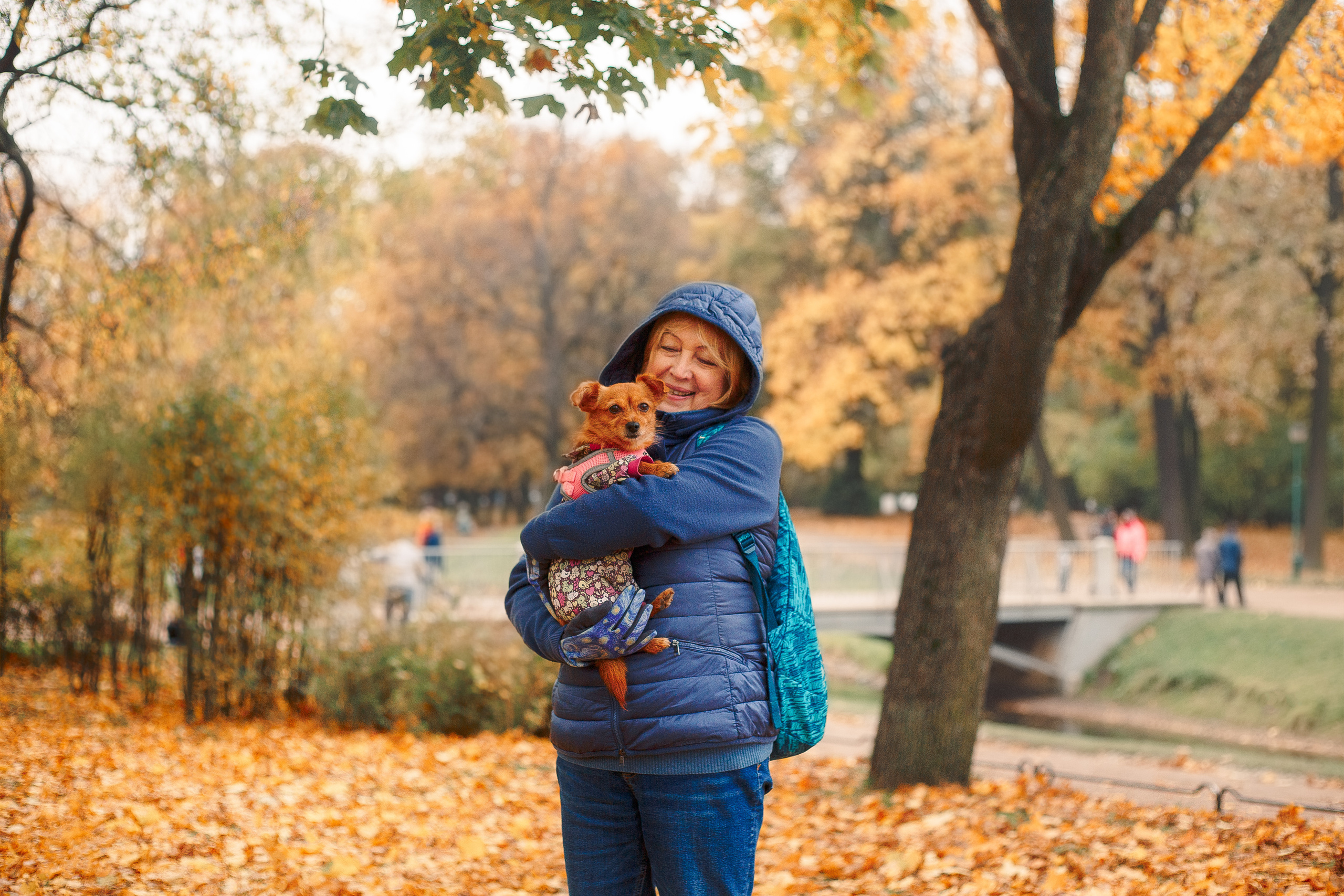 Таврический сад осенью. Фотограф-анималист Наталия Чистюхина в г. Сосновый Бор и ЛО