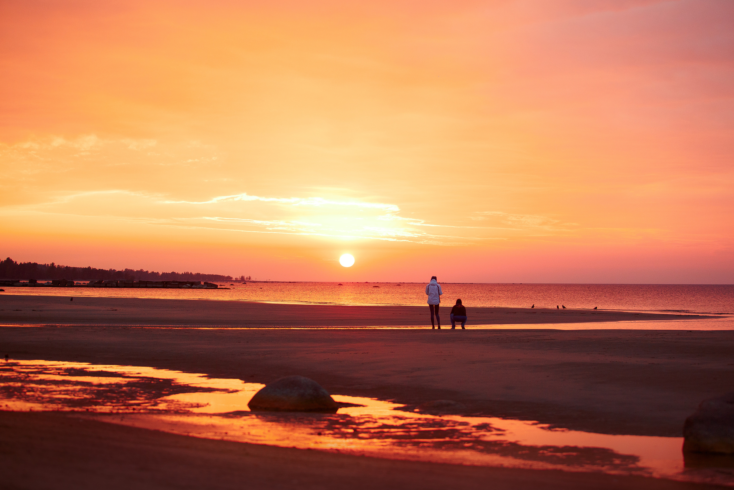 Закат на Финском заливе. Фотограф-анималист Наталия Чистюхина в г. Сосновый Бор и ЛО