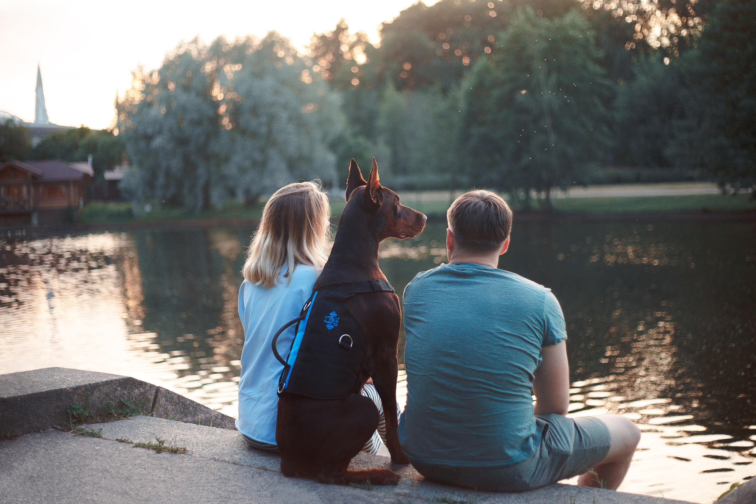 Атлас на Крестовском острове. Фотограф-анималист Наталия Чистюхина в г. Сосновый Бор и ЛО
