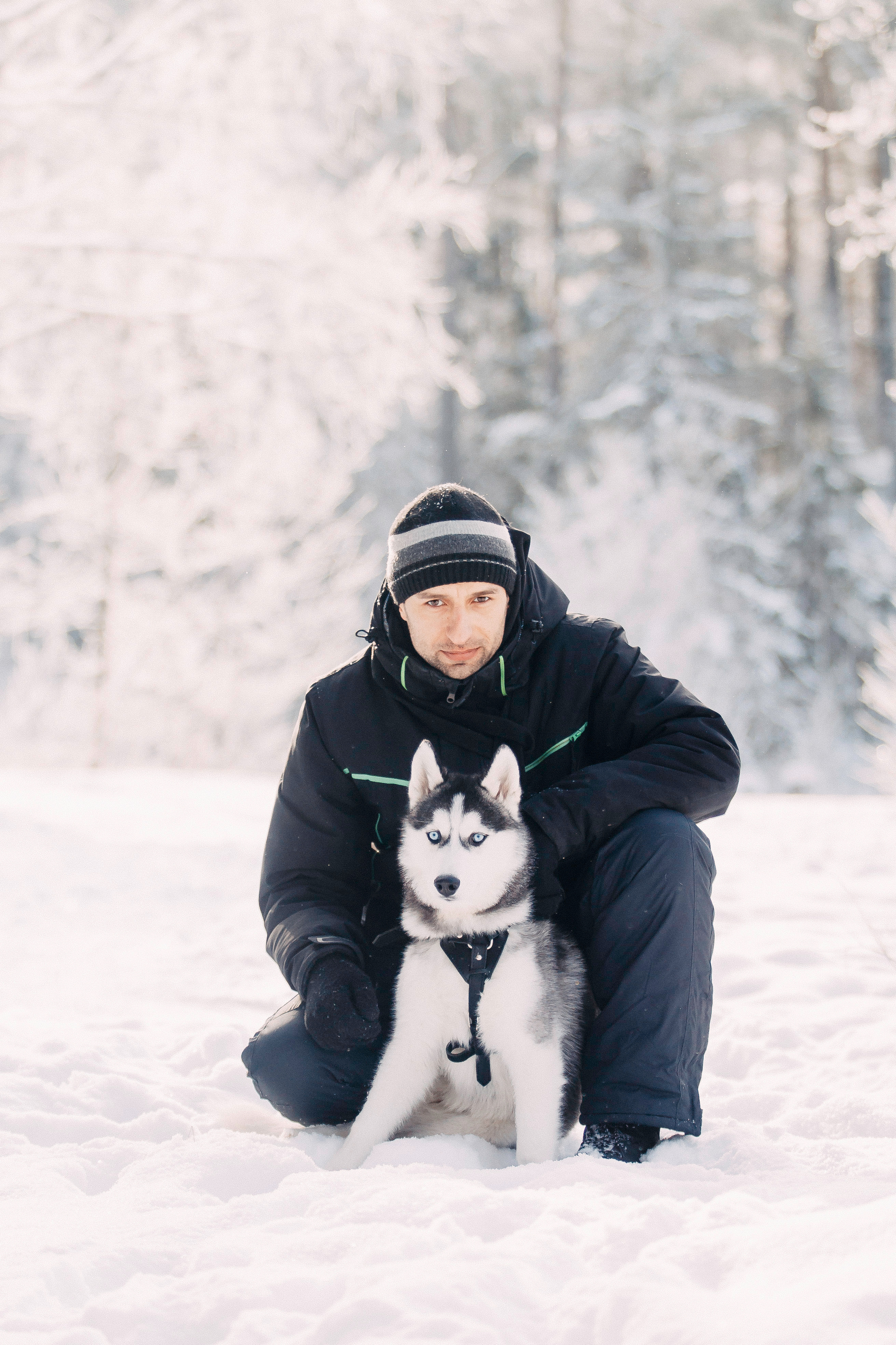 Щенок хаски Плуто. Фотограф-анималист Наталия Чистюхина в г. Сосновый Бор и ЛО