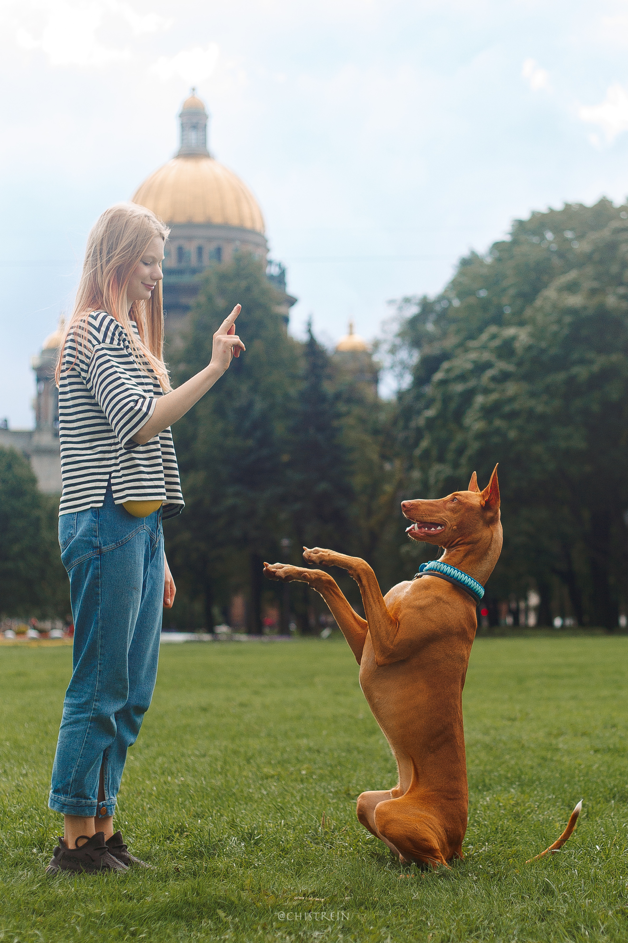 Арина и Гриффин в центре Питера. Фотограф-анималист Наталия Чистюхина в г. Сосновый Бор и ЛО