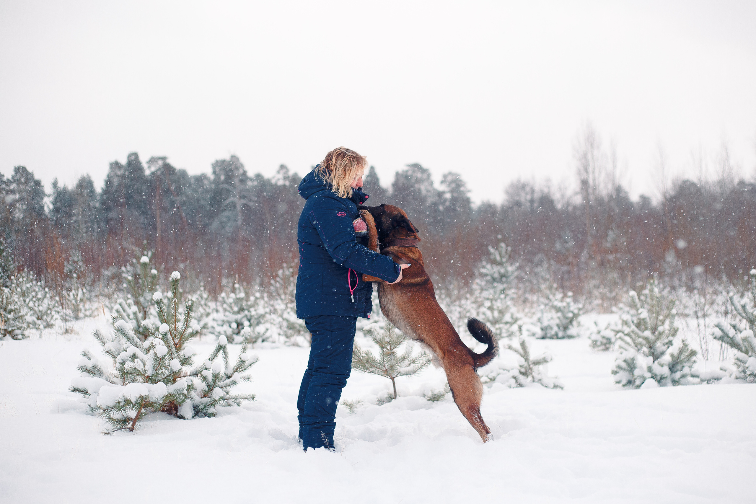 Зима и малинуа. Фотограф-анималист Наталия Чистюхина в г. Сосновый Бор и ЛО