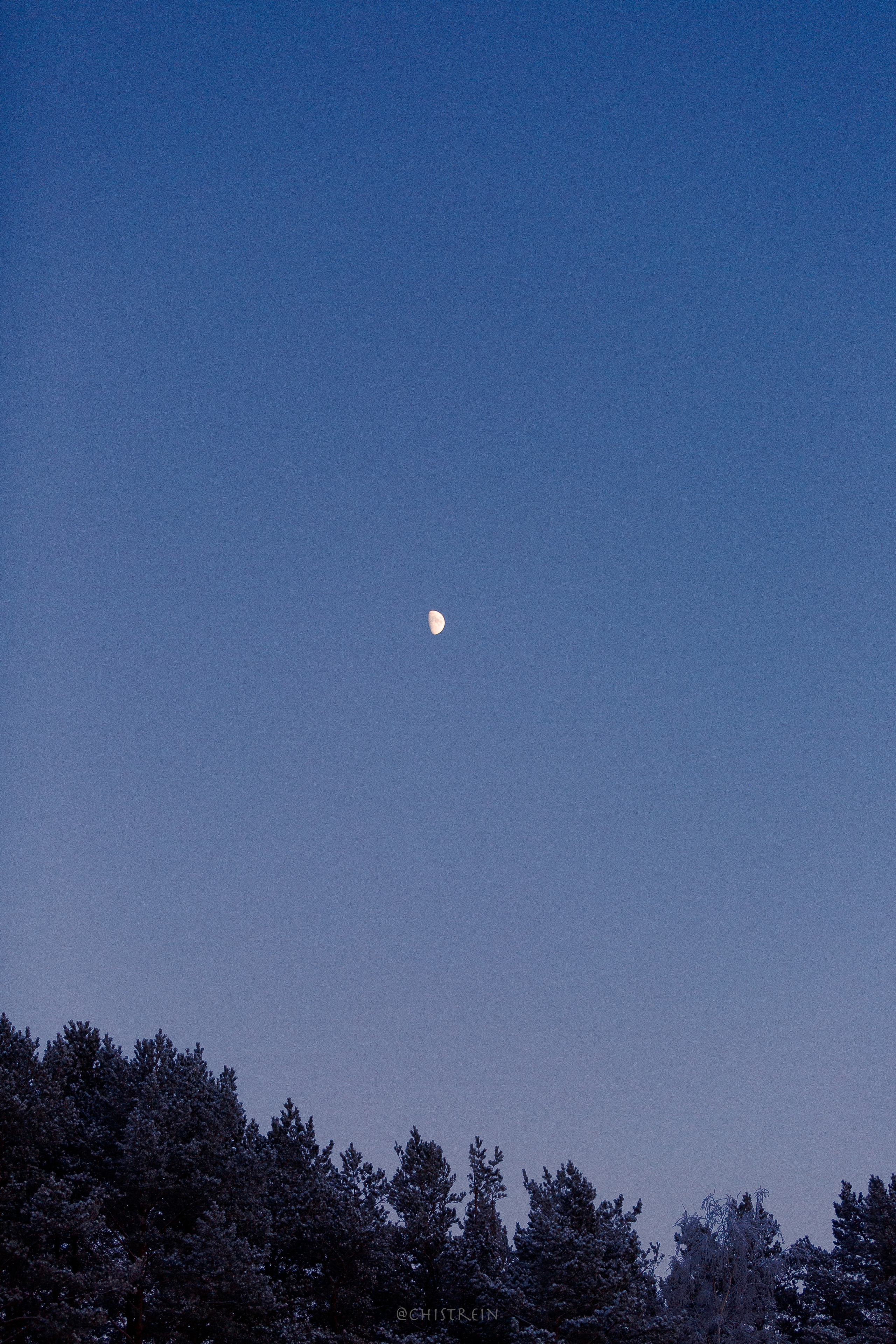 Модя. Закат на Финском заливе. Фотограф-анималист Наталия Чистюхина в г. Сосновый Бор и ЛО