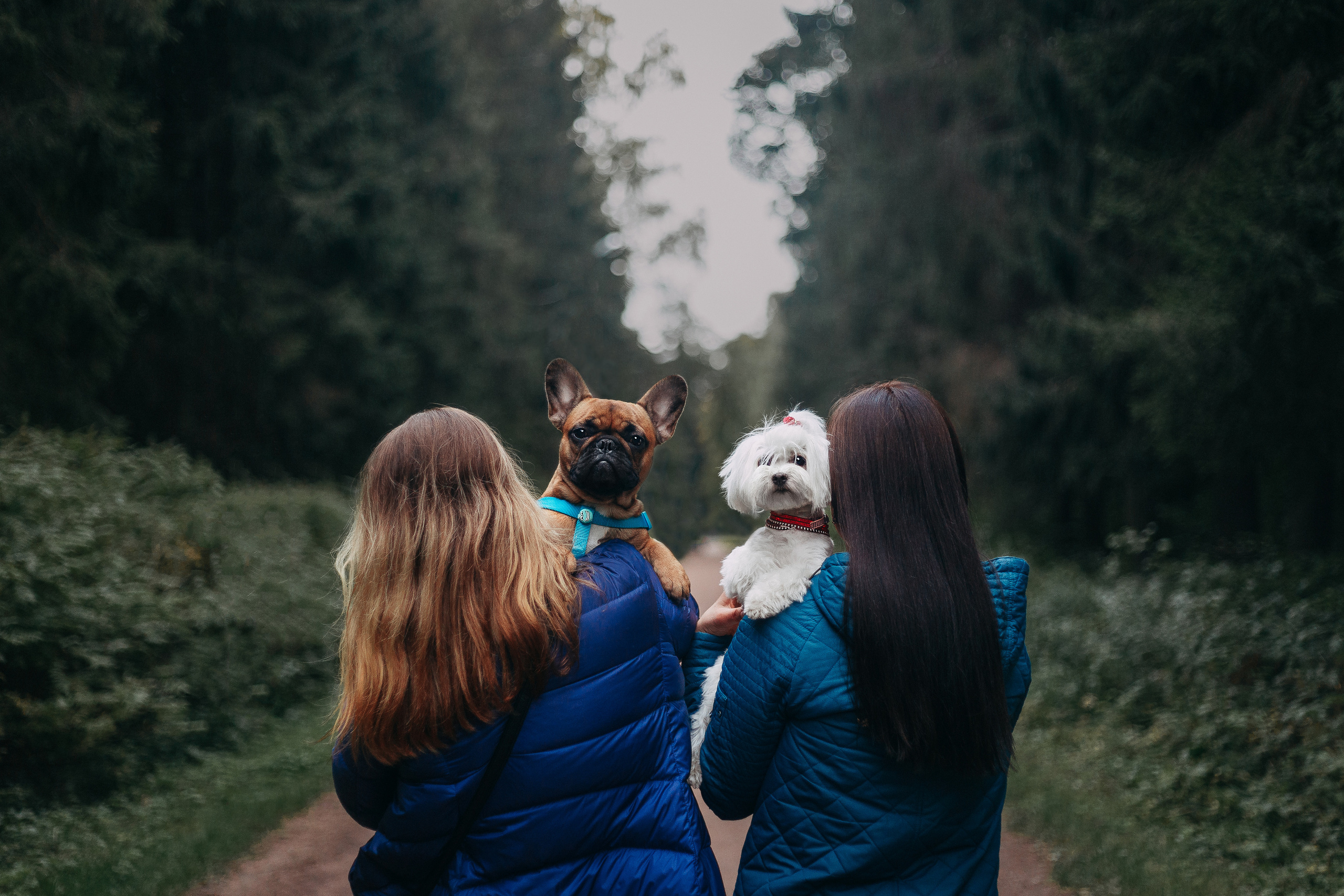 Шуваловский парк. Фотограф-анималист Наталия Чистюхина в г. Сосновый Бор и ЛО
