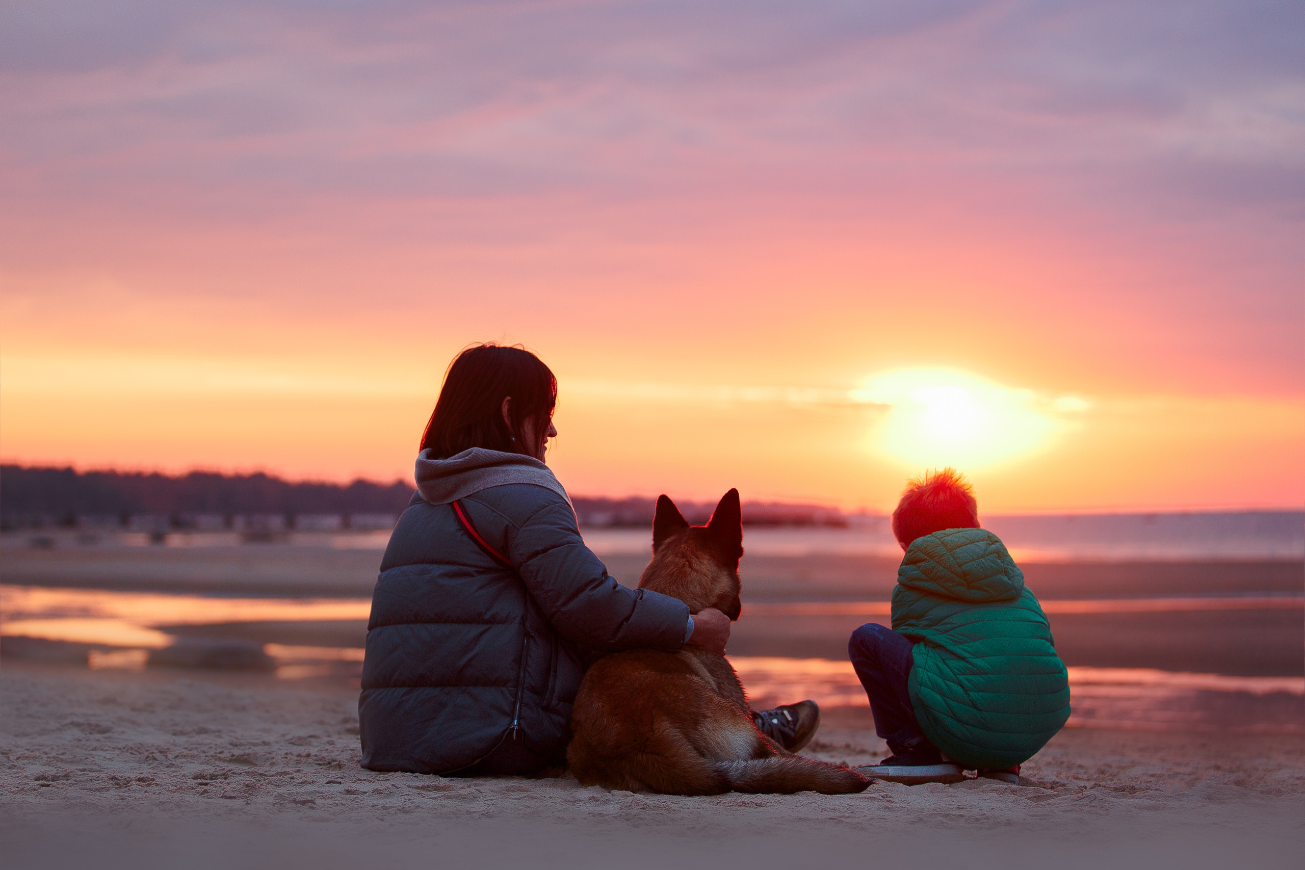 Закат на Финском заливе. Фотограф-анималист Наталия Чистюхина в г. Сосновый Бор и ЛО