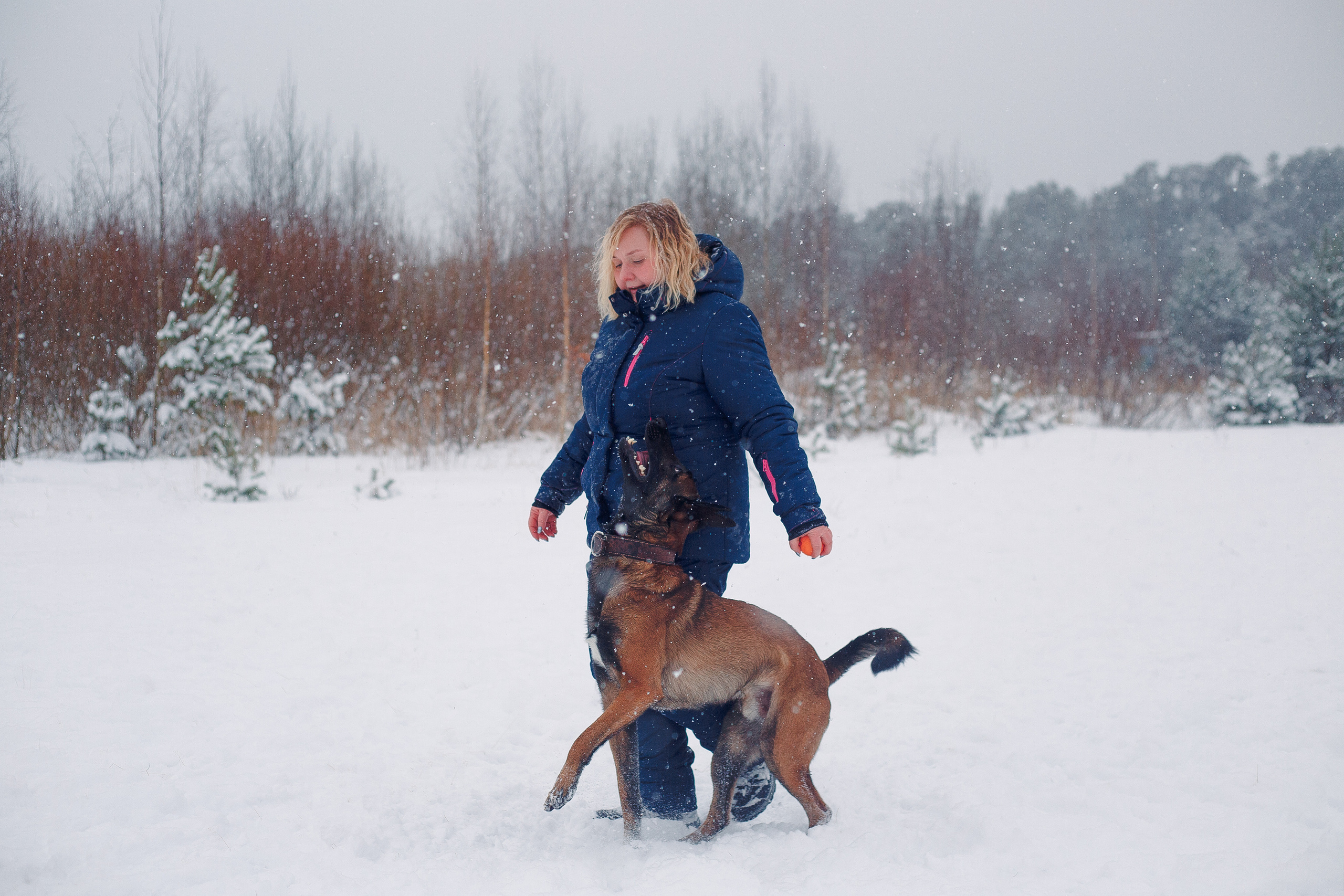 Зима и малинуа. Фотограф-анималист Наталия Чистюхина в г. Сосновый Бор и ЛО