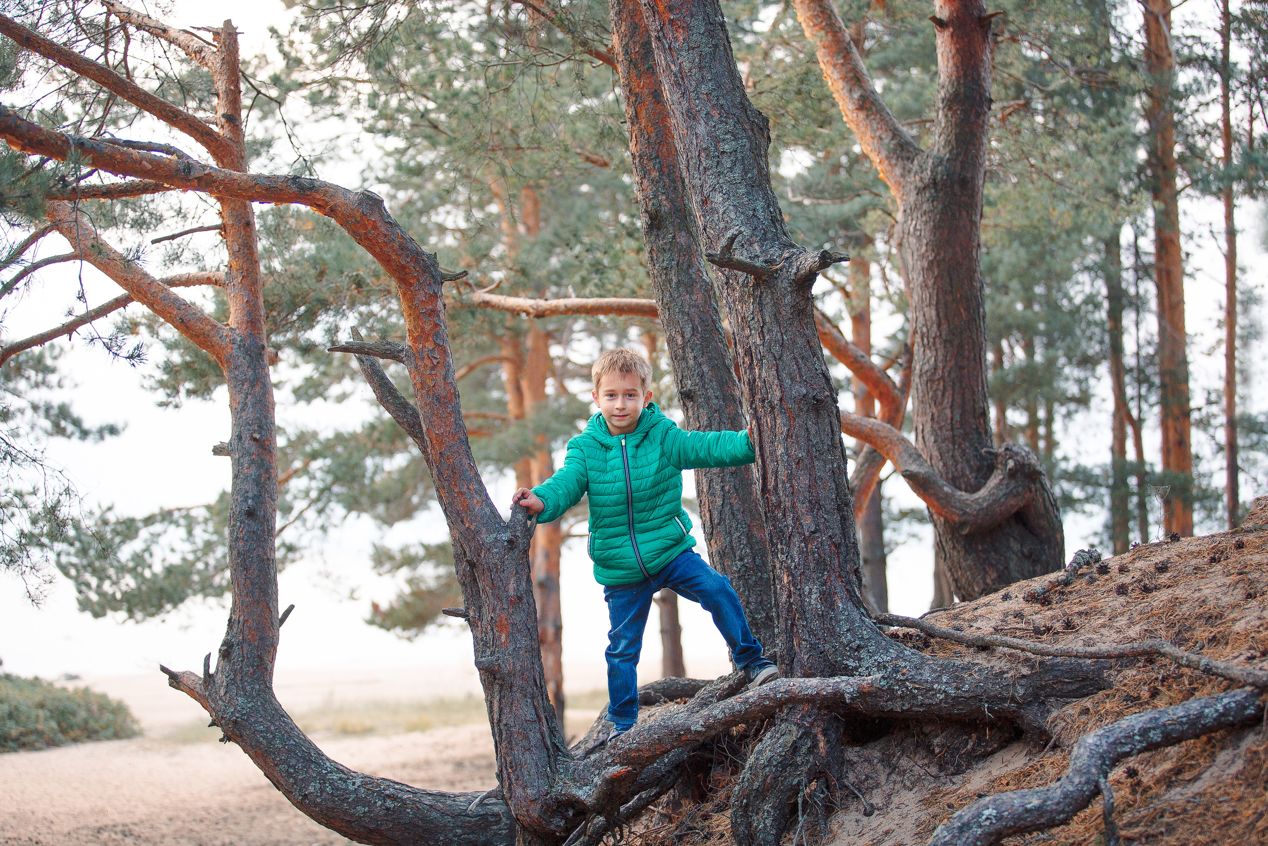Закат на Финском заливе. Фотограф-анималист Наталия Чистюхина в г. Сосновый Бор и ЛО