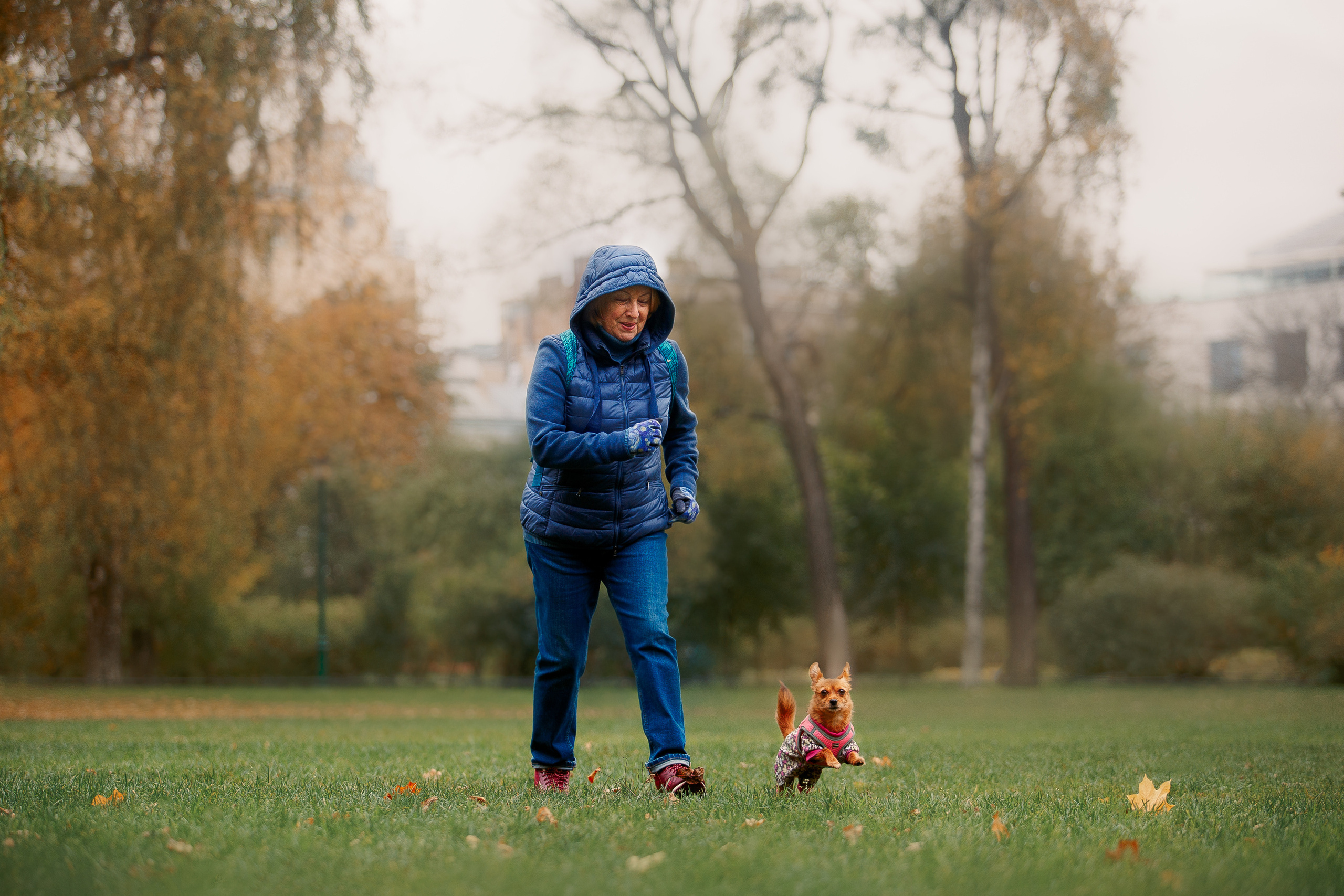 Таврический сад осенью. Фотограф-анималист Наталия Чистюхина в г. Сосновый Бор и ЛО