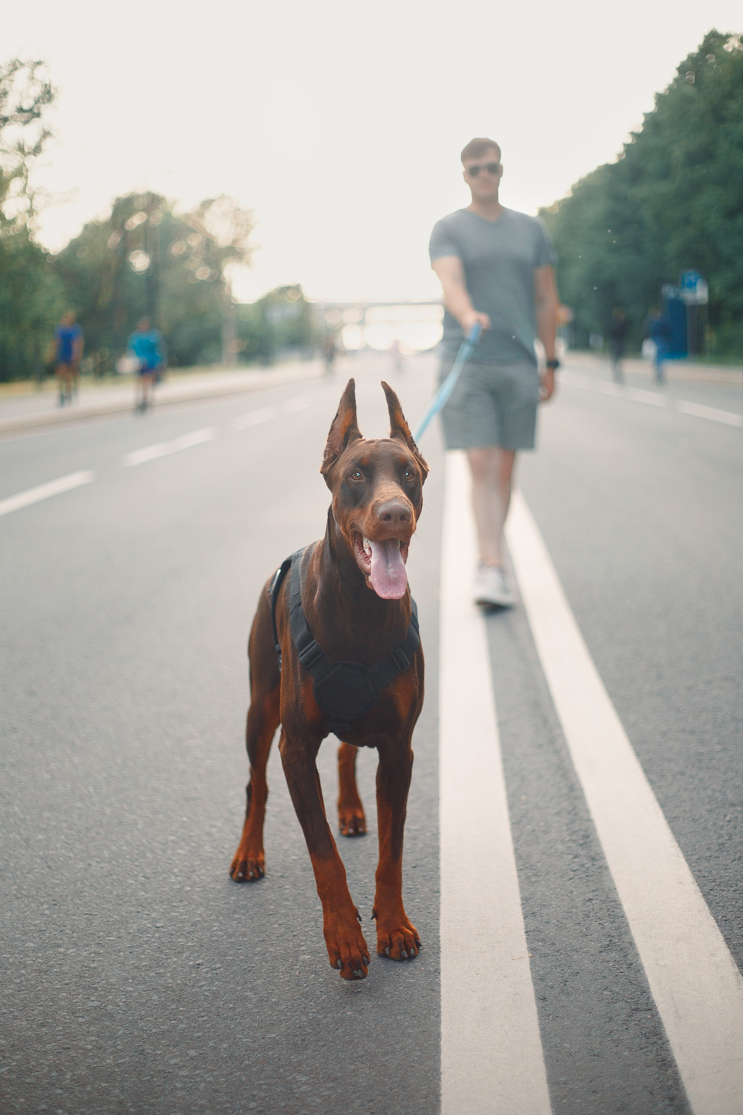 Атлас на Крестовском острове. Фотограф-анималист Наталия Чистюхина в г. Сосновый Бор и ЛО