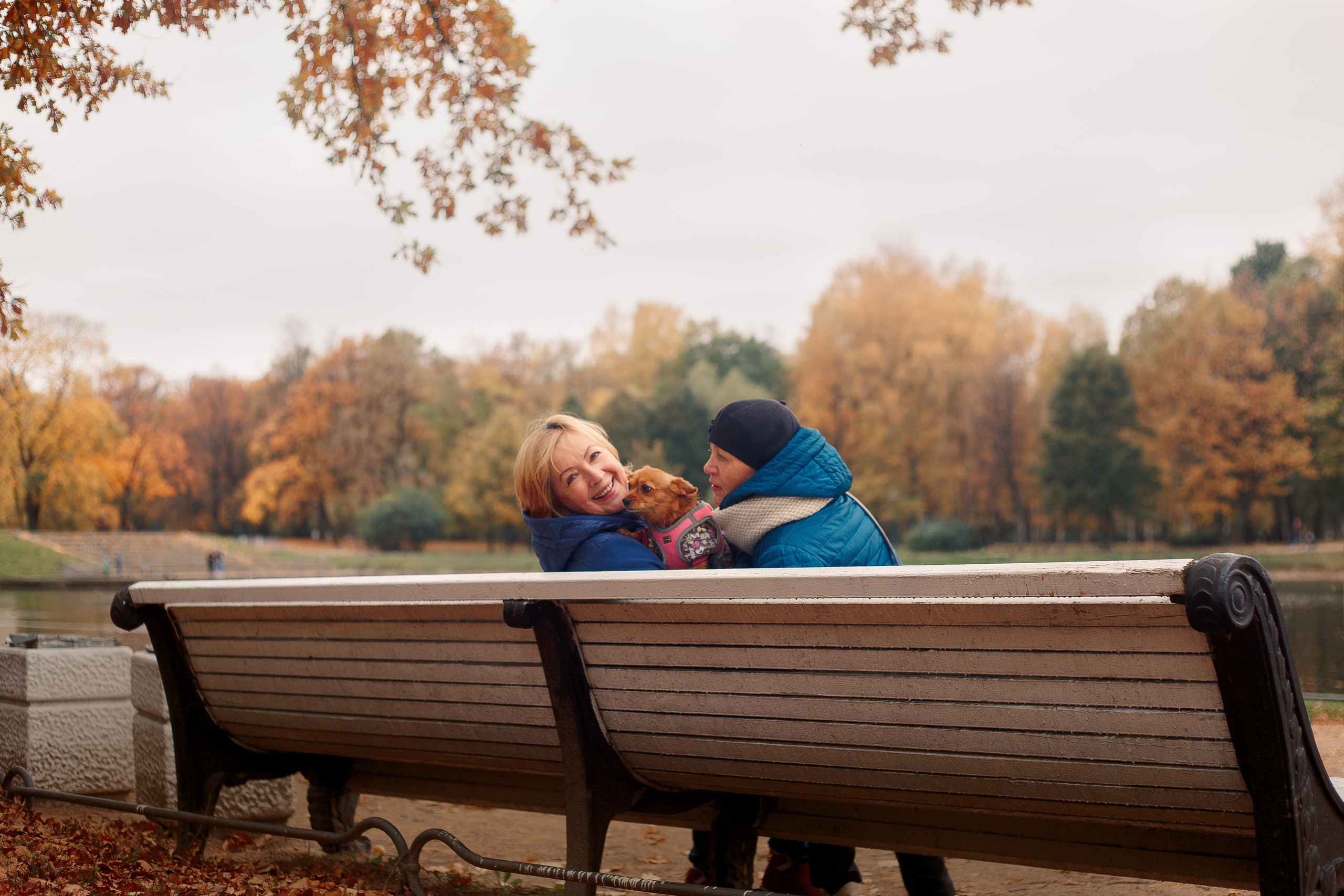 Таврический сад осенью. Фотограф-анималист Наталия Чистюхина в г. Сосновый Бор и ЛО