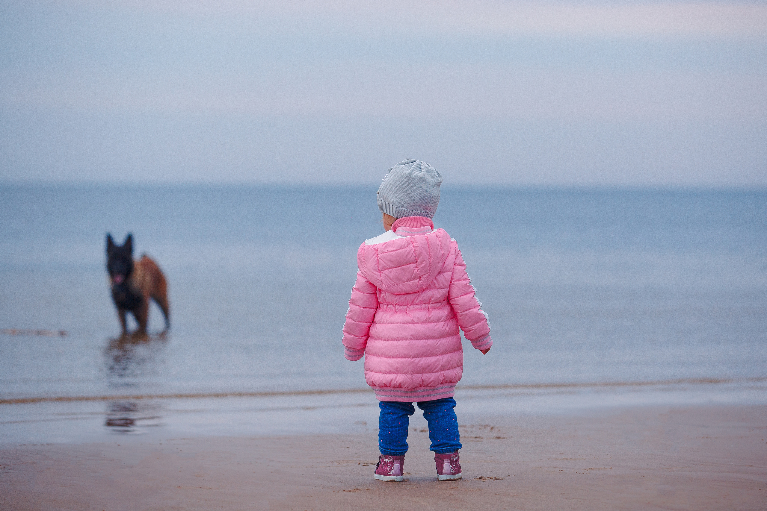 Закат на Финском заливе. Фотограф-анималист Наталия Чистюхина в г. Сосновый Бор и ЛО