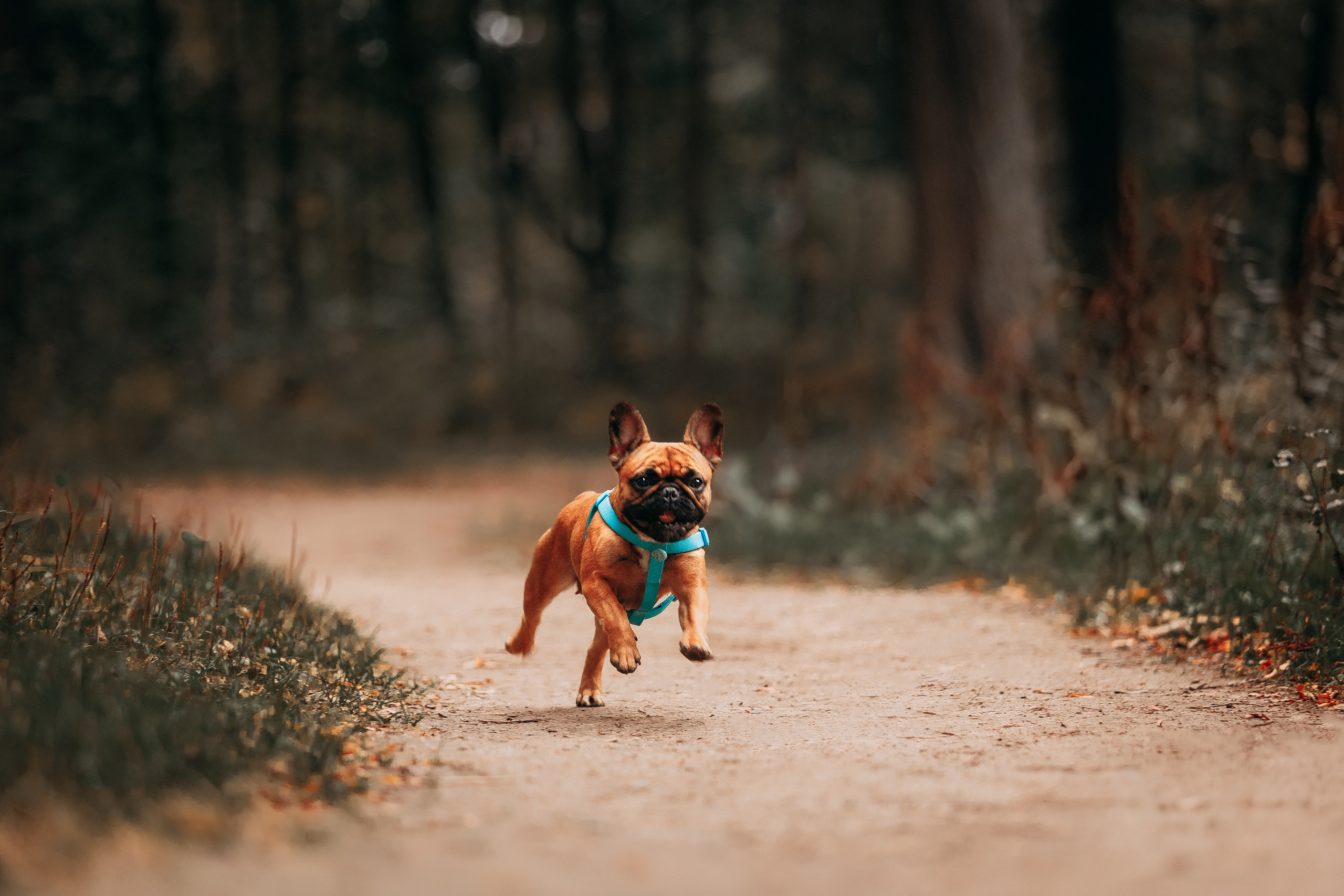 Шуваловский парк. Фотограф-анималист Наталия Чистюхина в г. Сосновый Бор и ЛО