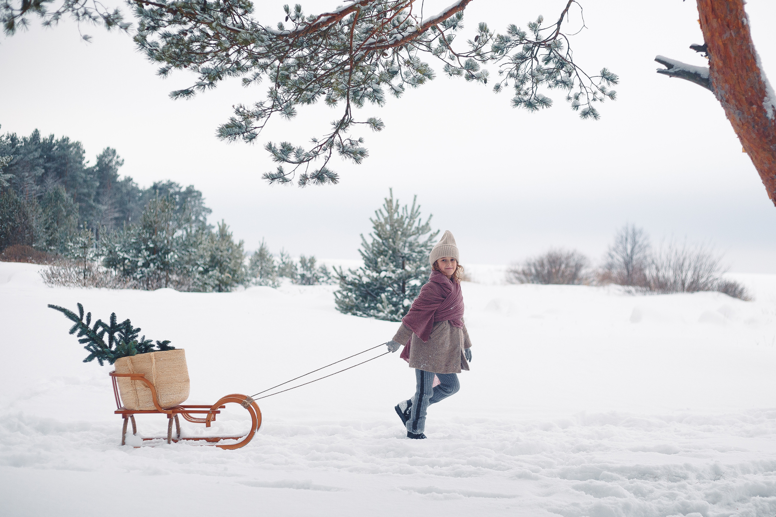 Дана, Варя, Анфиса и Миша в Ручьях. Фотограф-анималист Наталия Чистюхина в г. Сосновый Бор и ЛО