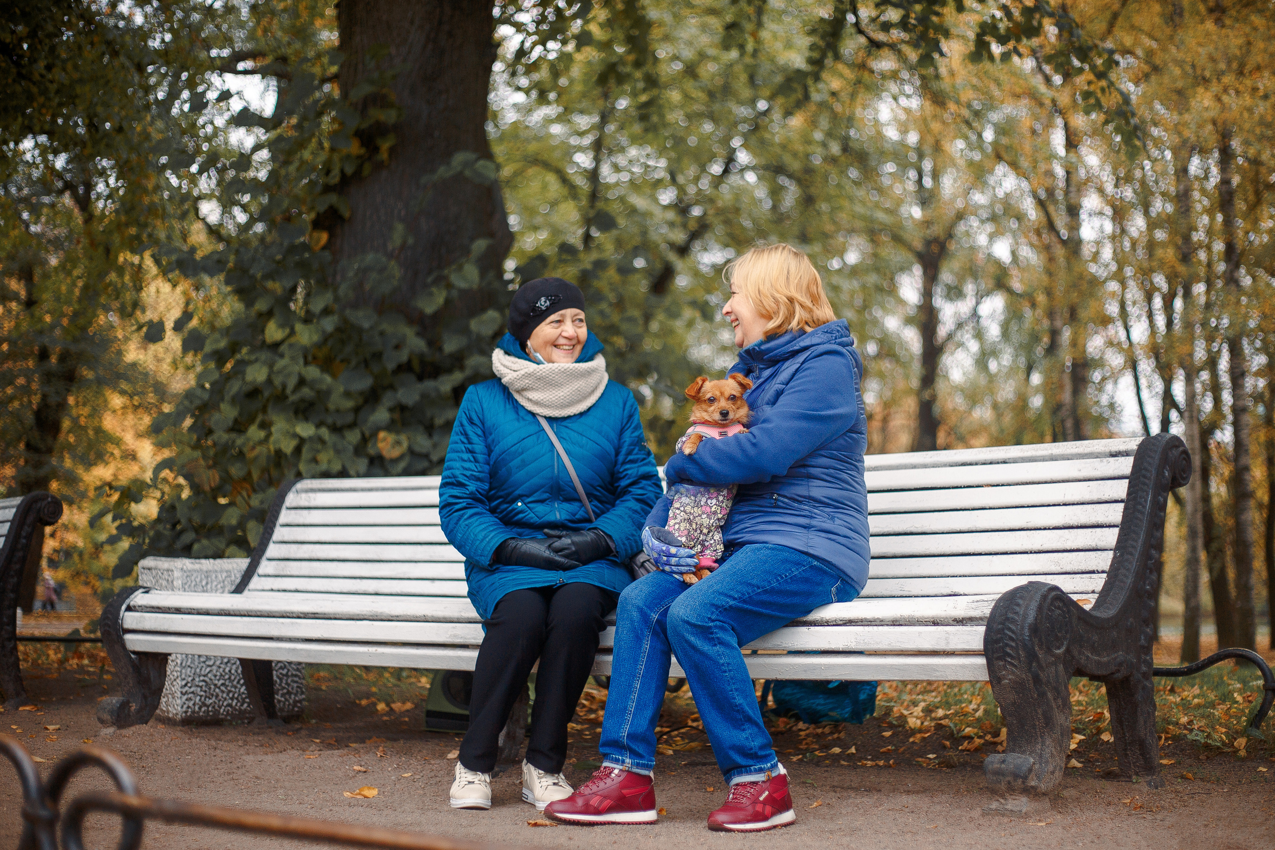 Таврический сад осенью. Фотограф-анималист Наталия Чистюхина в г. Сосновый Бор и ЛО