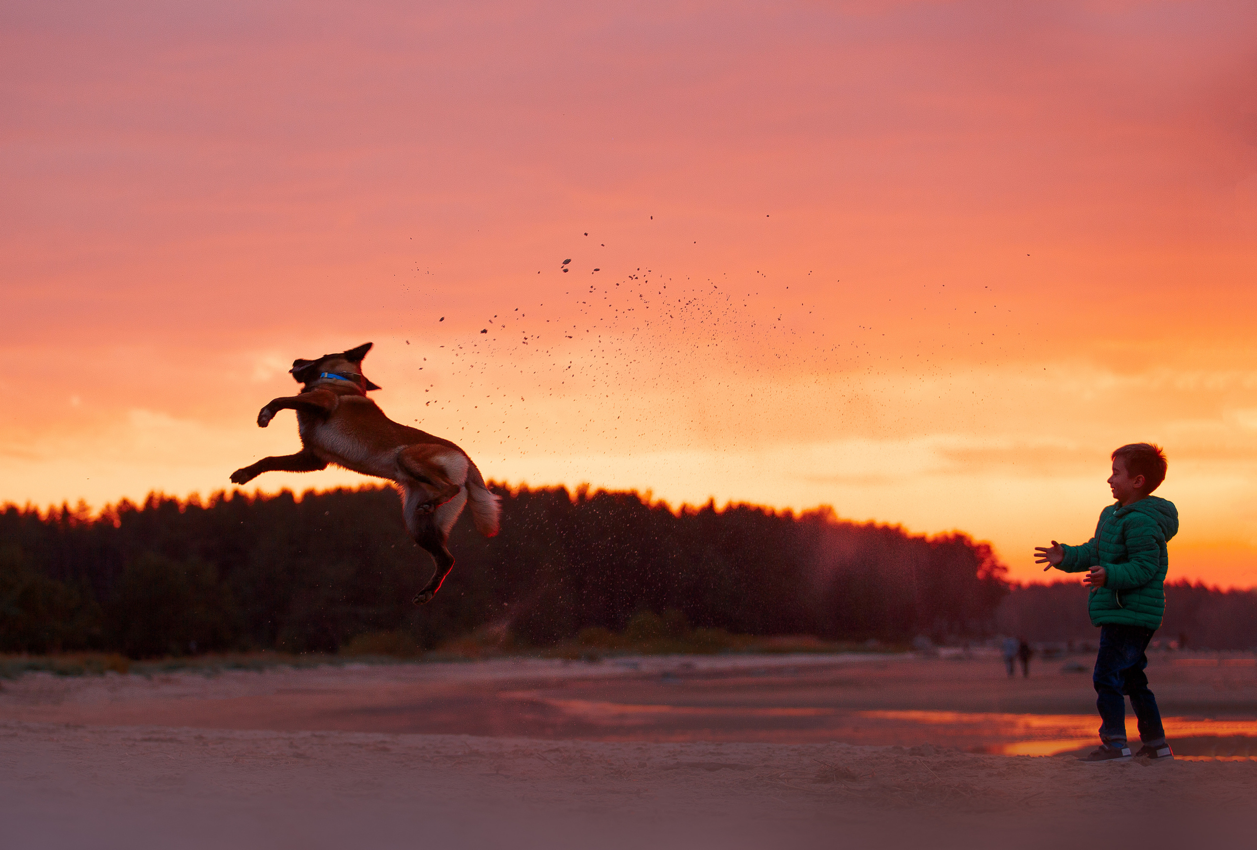Закат на Финском заливе. Фотограф-анималист Наталия Чистюхина в г. Сосновый Бор и ЛО
