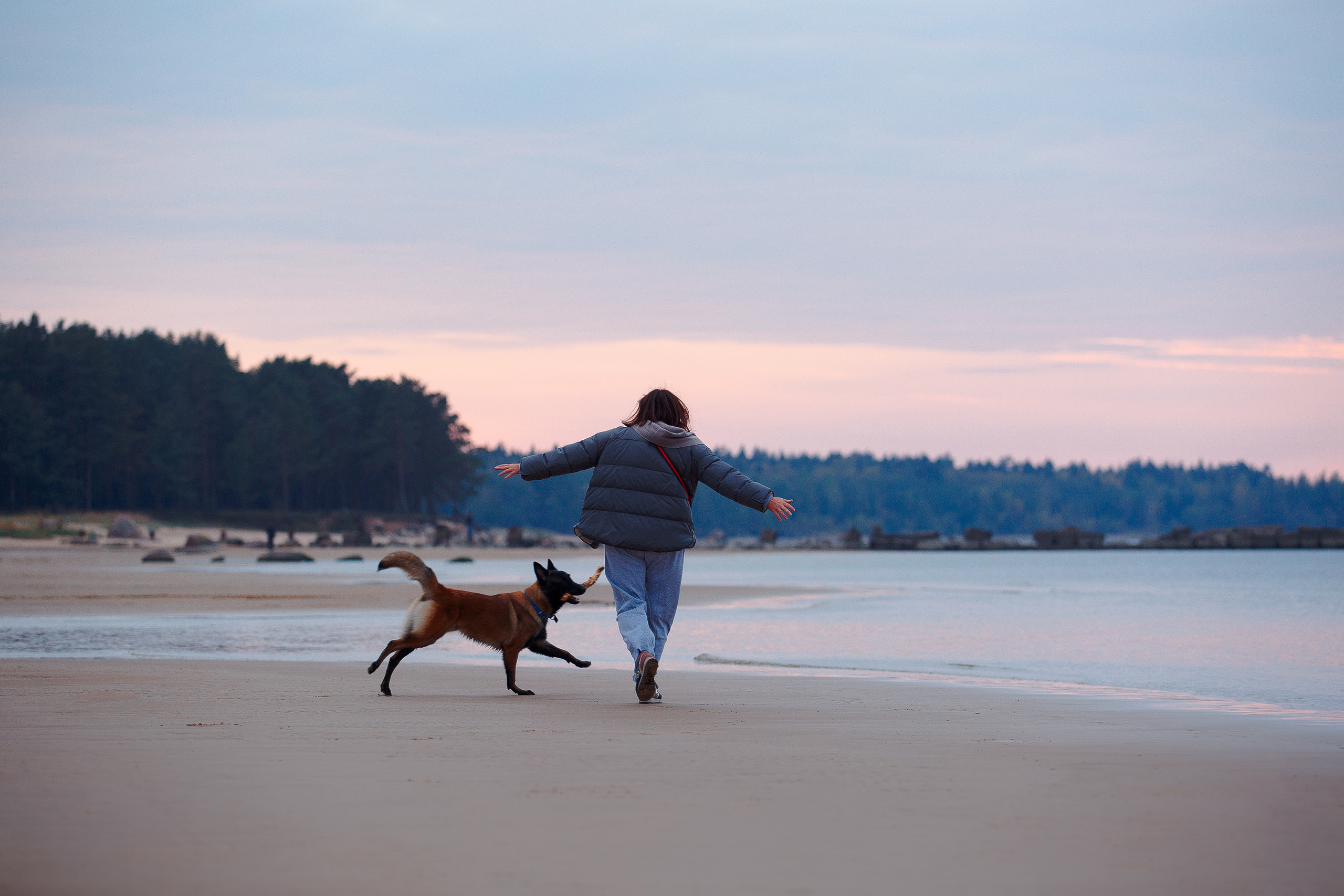 Закат на Финском заливе. Фотограф-анималист Наталия Чистюхина в г. Сосновый Бор и ЛО