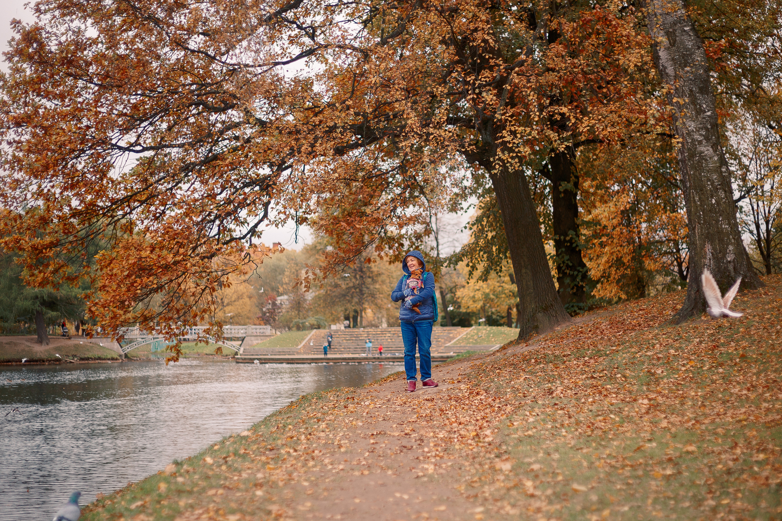 Таврический сад осенью. Фотограф-анималист Наталия Чистюхина в г. Сосновый Бор и ЛО