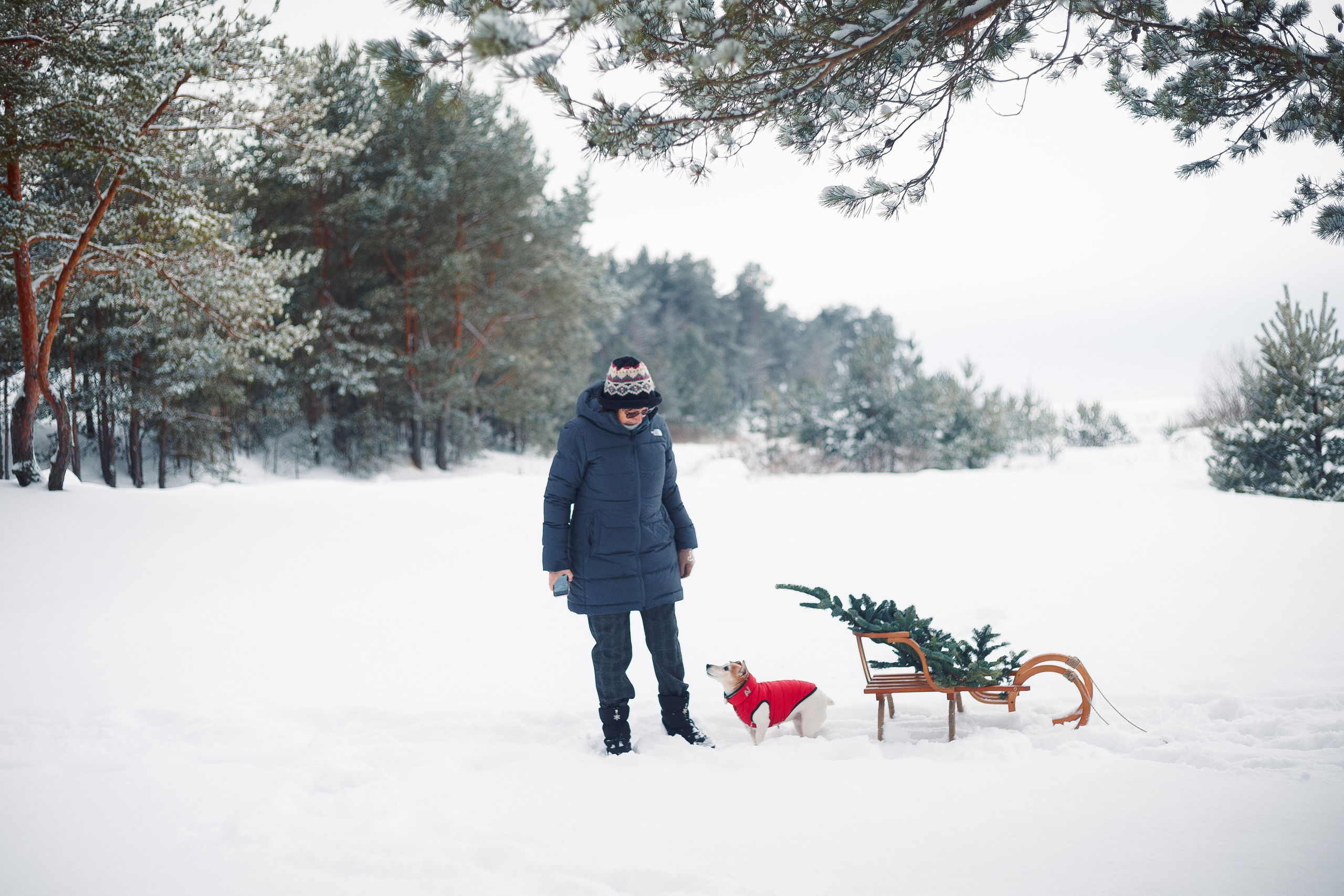 Дана, Варя, Анфиса и Миша в Ручьях. Фотограф-анималист Наталия Чистюхина в г. Сосновый Бор и ЛО