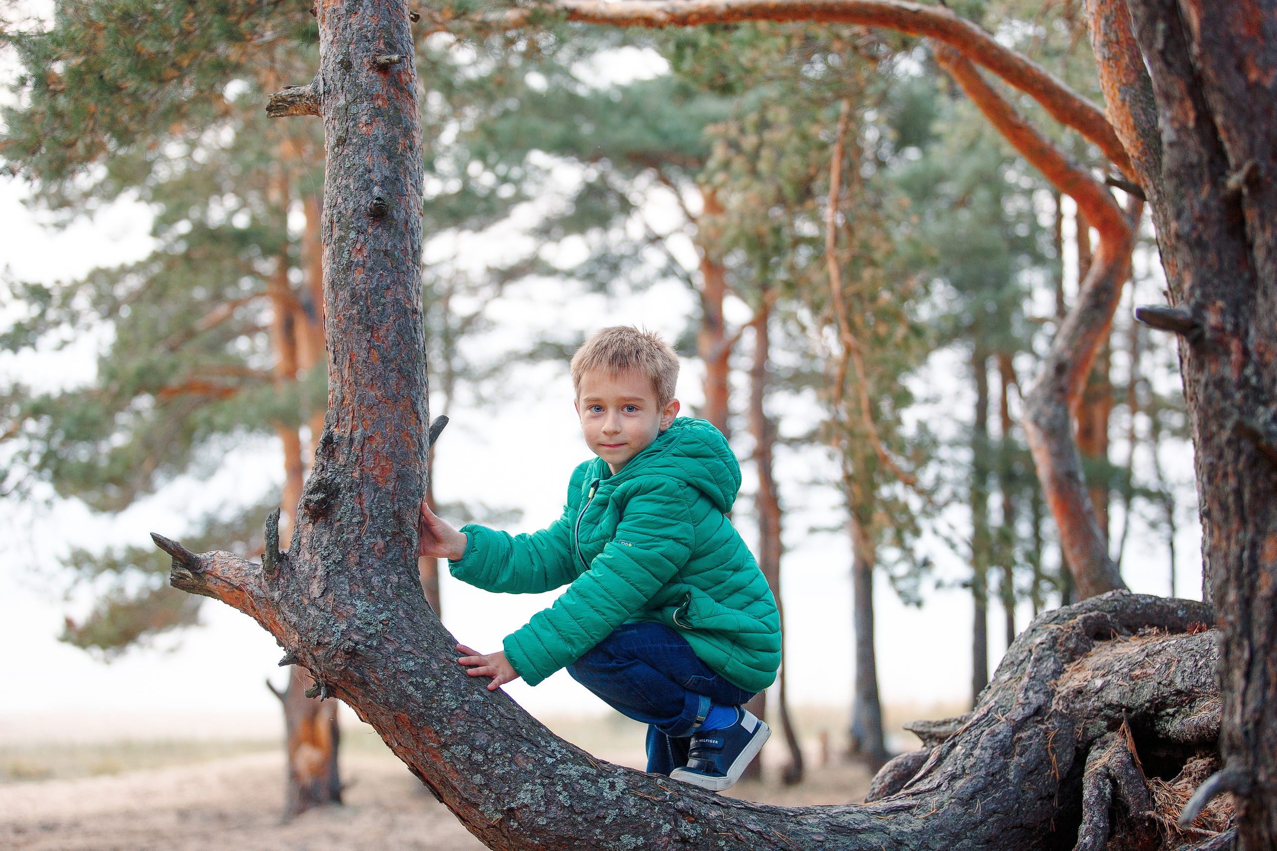 Закат на Финском заливе. Фотограф-анималист Наталия Чистюхина в г. Сосновый Бор и ЛО