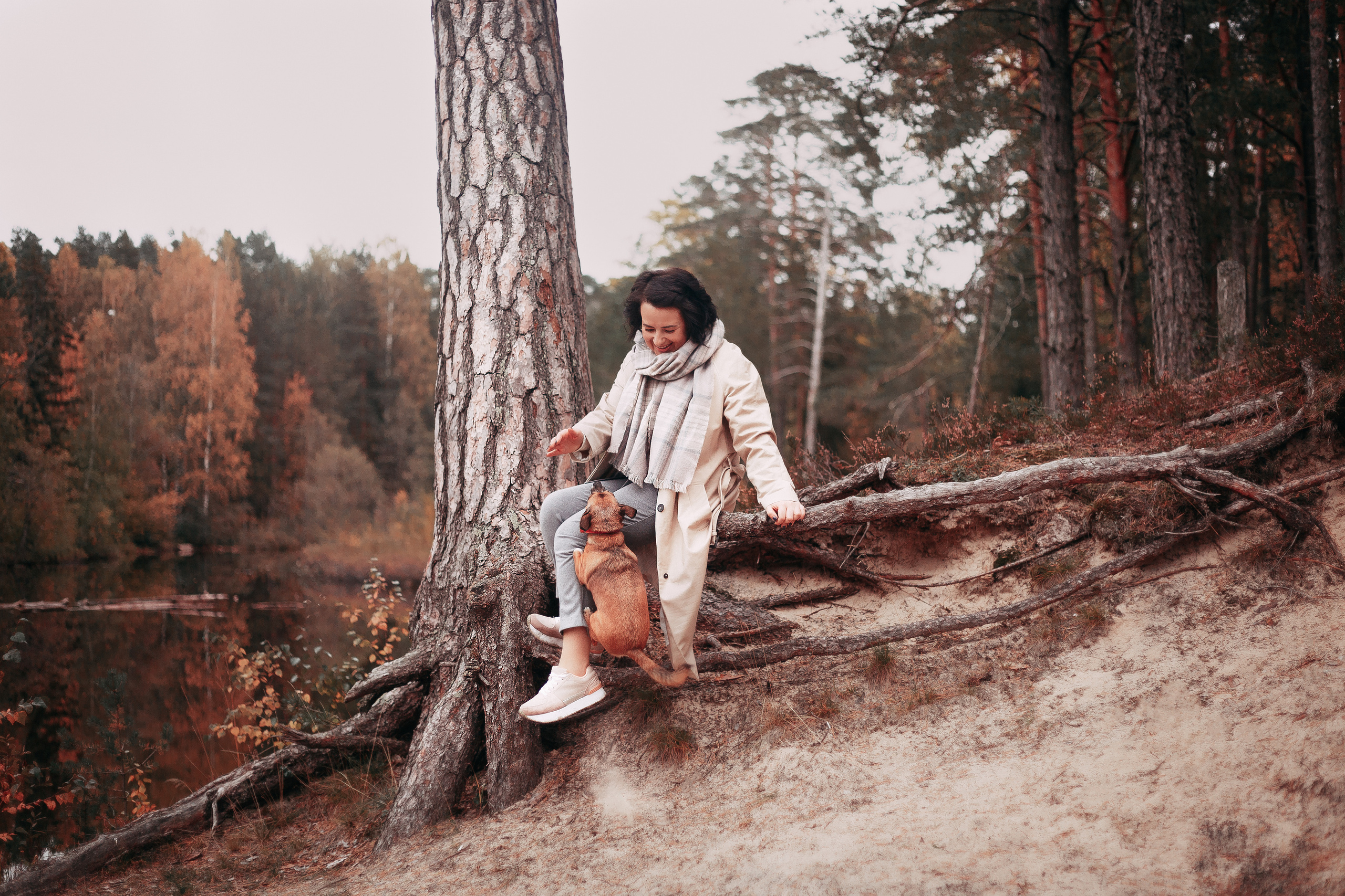 Осенний лес в Сосновом Бору. Фотограф-анималист Наталия Чистюхина в г. Сосновый Бор и ЛО