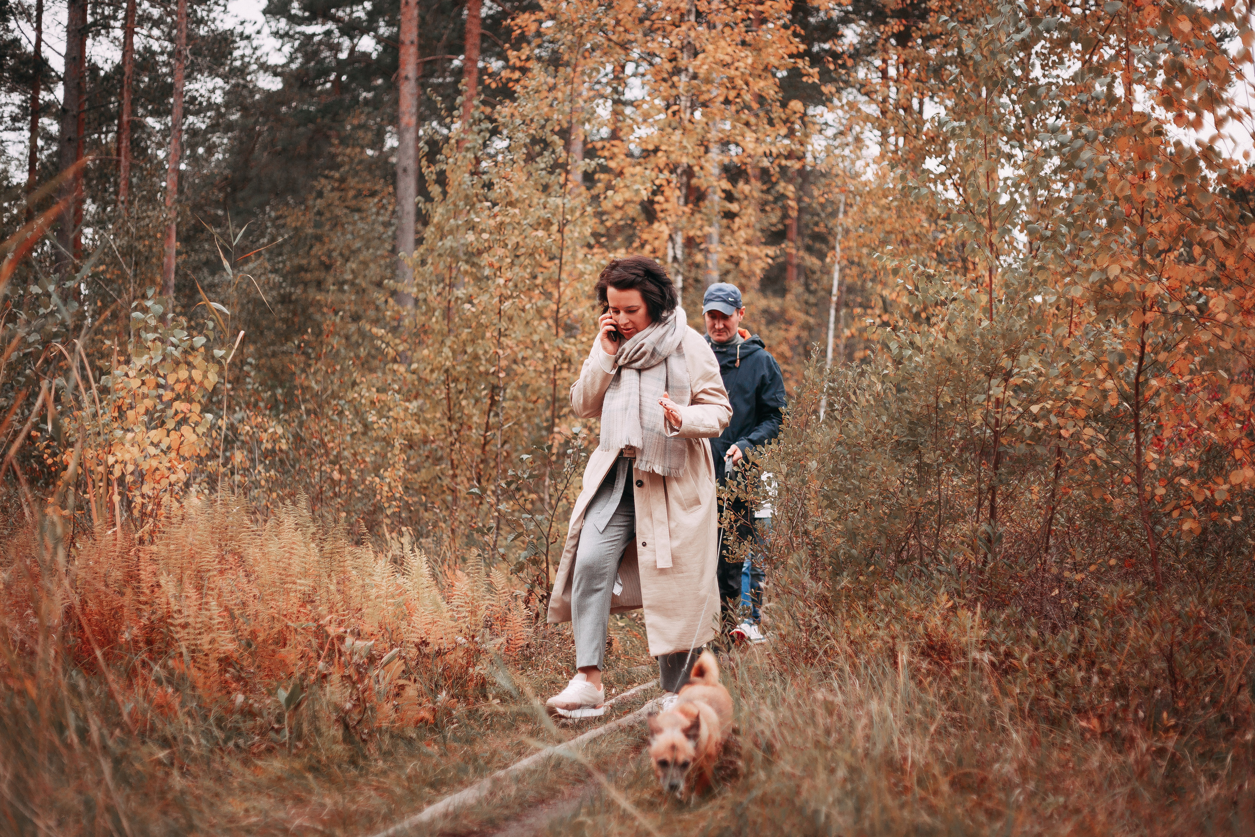 Осенний лес в Сосновом Бору. Фотограф-анималист Наталия Чистюхина в г. Сосновый Бор и ЛО
