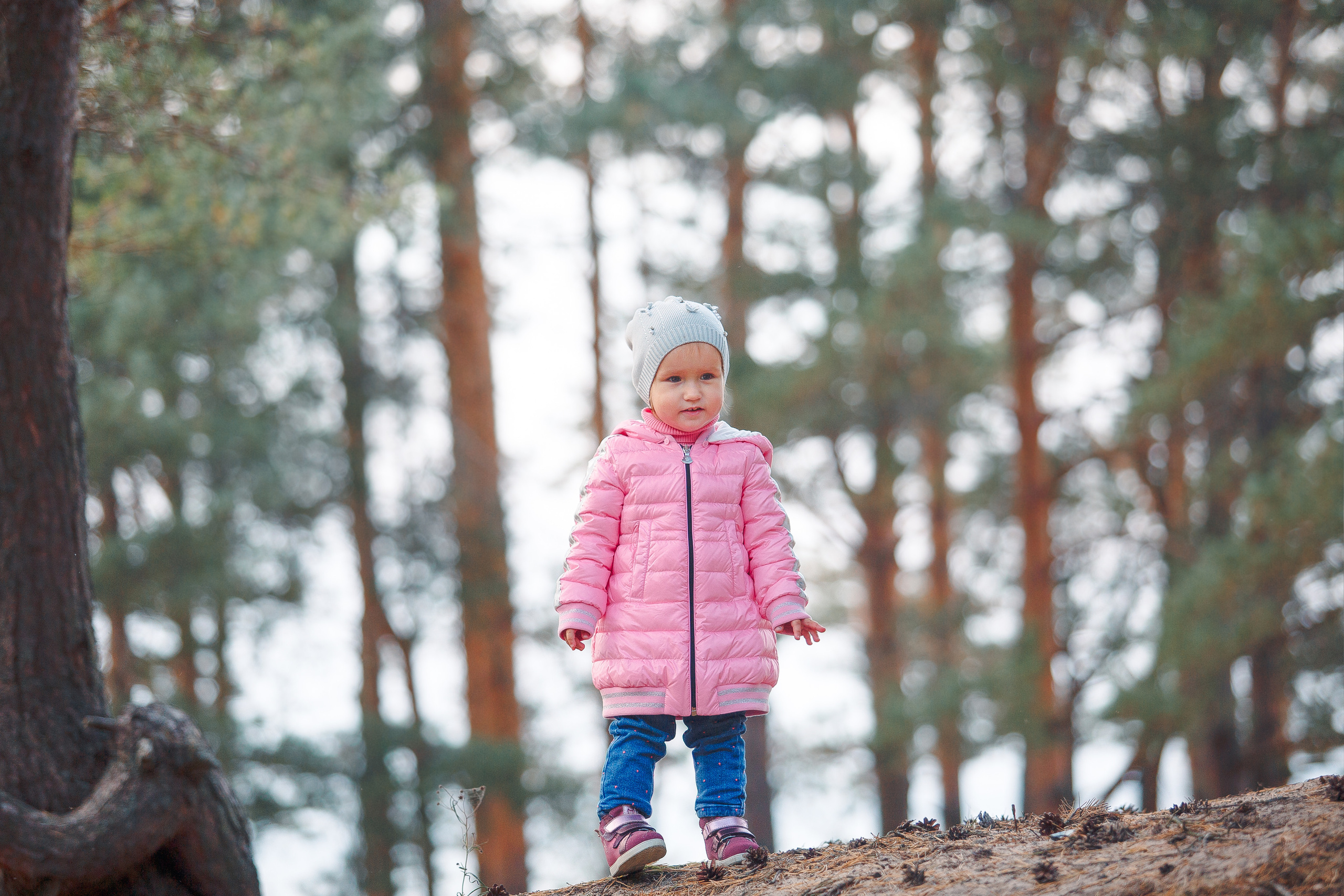 Закат на Финском заливе. Фотограф-анималист Наталия Чистюхина в г. Сосновый Бор и ЛО