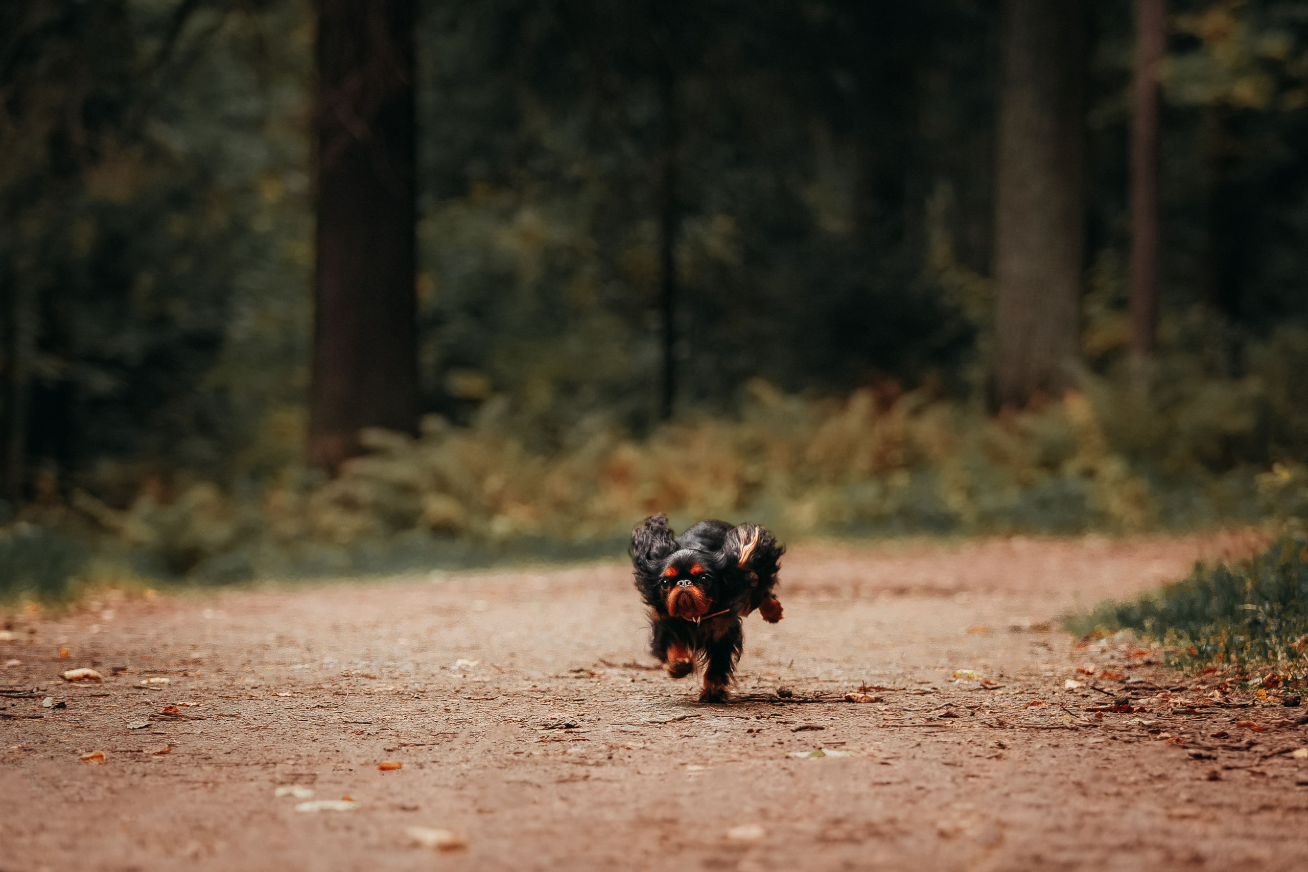 Шуваловский парк. Фотограф-анималист Наталия Чистюхина в г. Сосновый Бор и ЛО