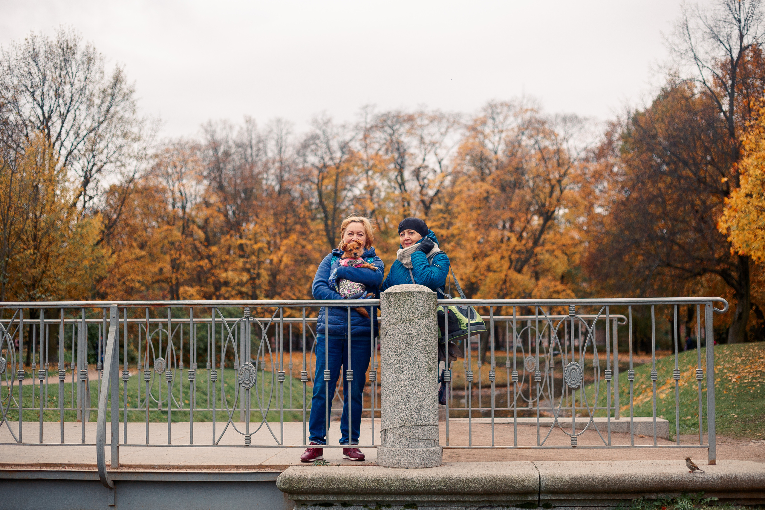 Таврический сад осенью. Фотограф-анималист Наталия Чистюхина в г. Сосновый Бор и ЛО