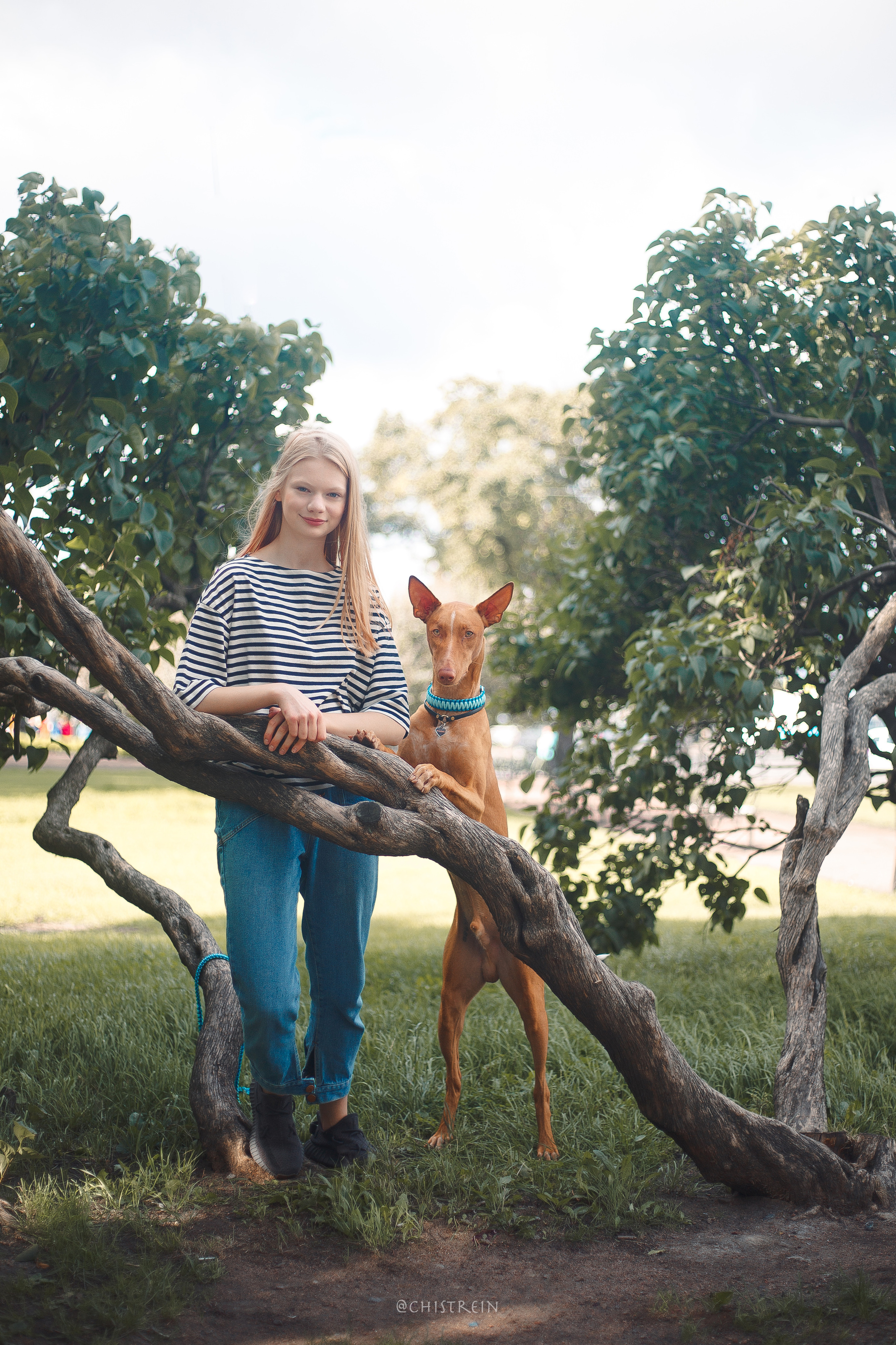 Арина и Гриффин в центре Питера. Фотограф-анималист Наталия Чистюхина в г. Сосновый Бор и ЛО