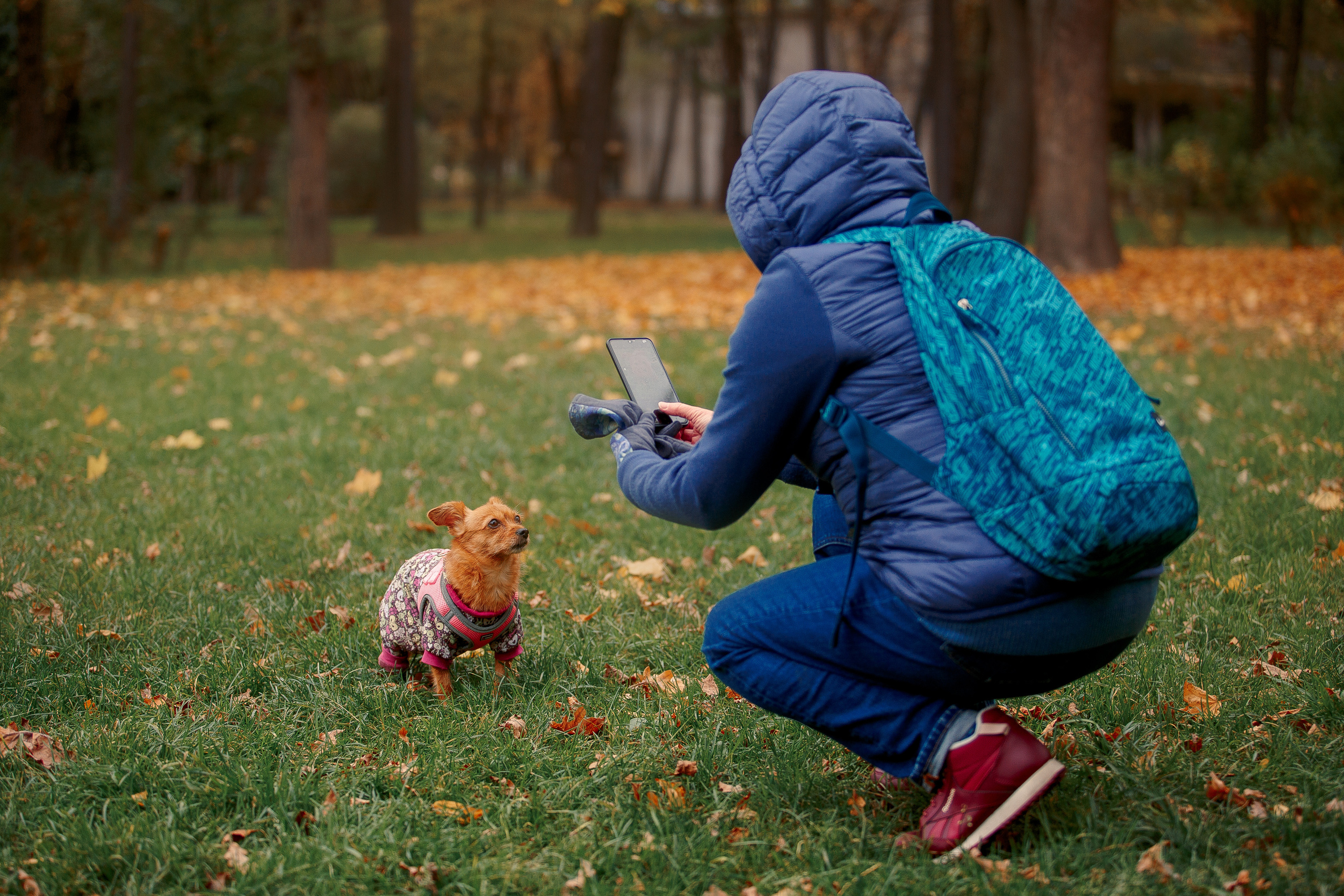 Таврический сад осенью. Фотограф-анималист Наталия Чистюхина в г. Сосновый Бор и ЛО