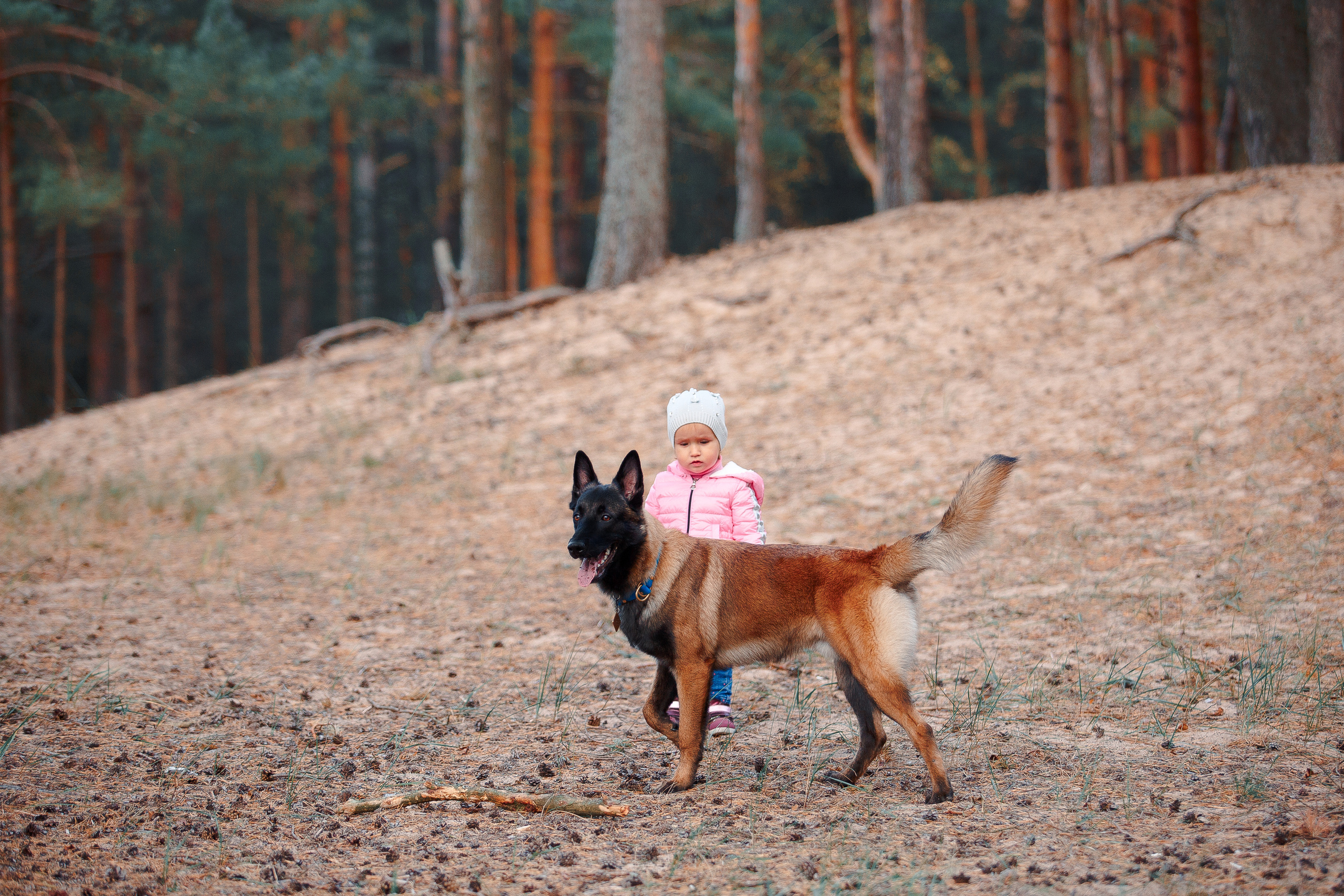 Закат на Финском заливе. Фотограф-анималист Наталия Чистюхина в г. Сосновый Бор и ЛО