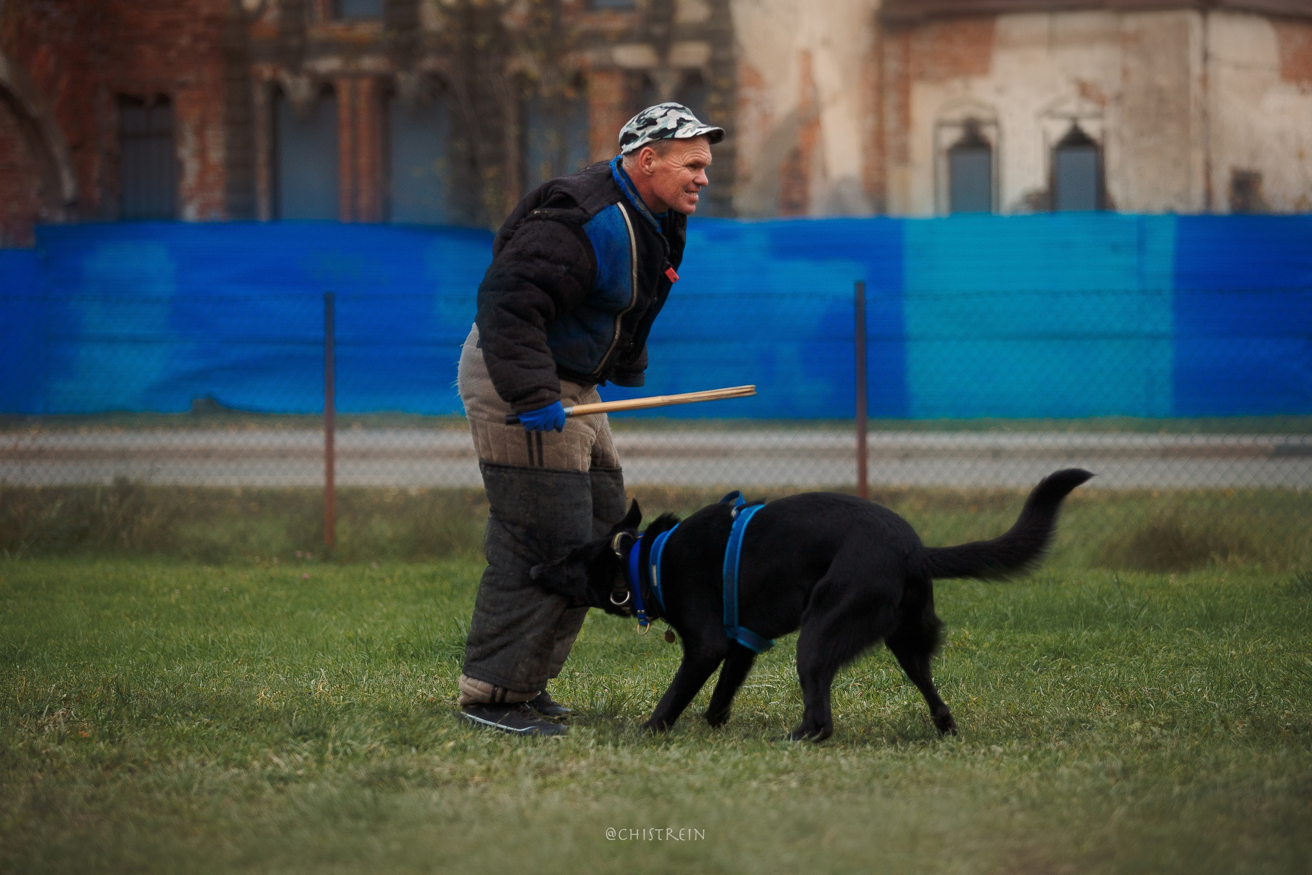 Мондьоринг в СПб. Фотограф-анималист Наталия Чистюхина в г. Сосновый Бор и ЛО