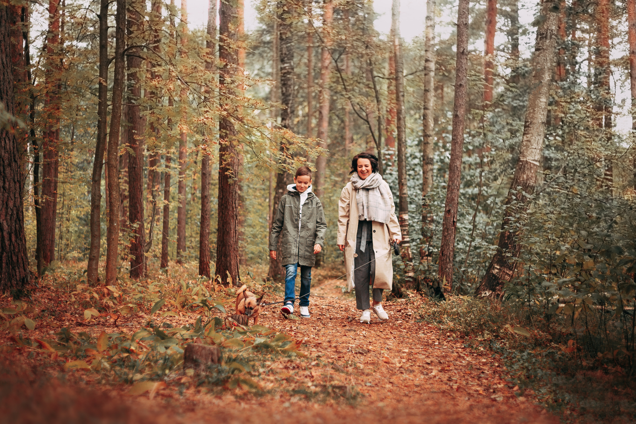 Осенний лес в Сосновом Бору. Фотограф-анималист Наталия Чистюхина в г. Сосновый Бор и ЛО